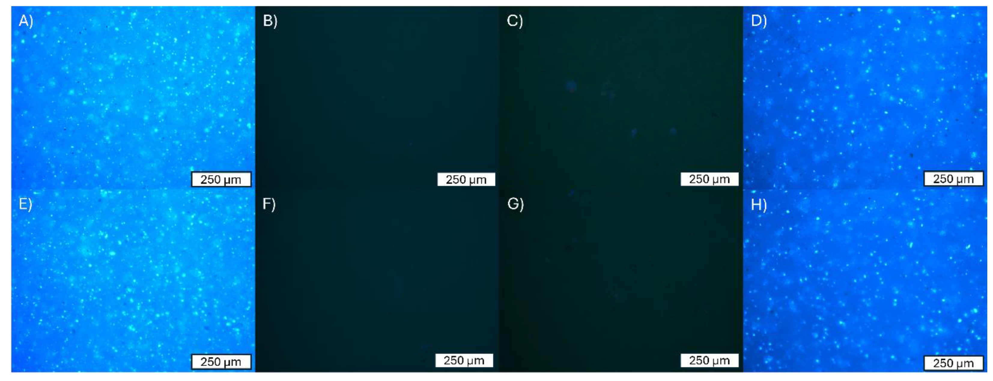 Applsci 14 09224 g004