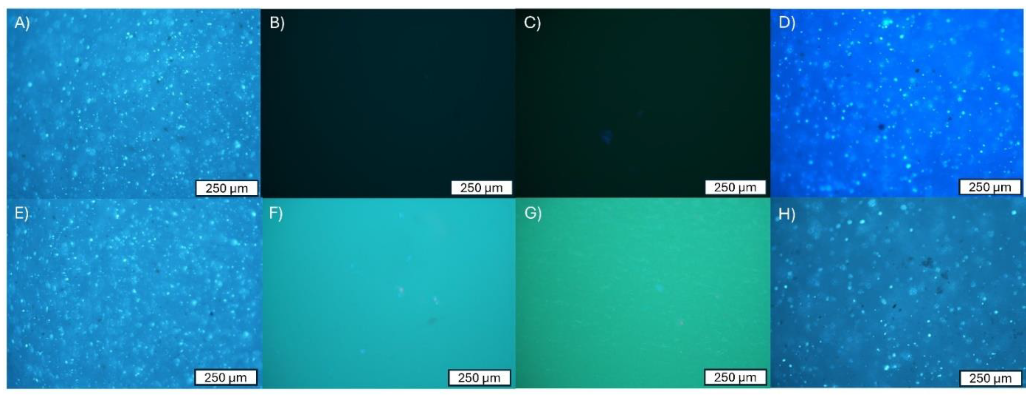 Applsci 14 09224 g005