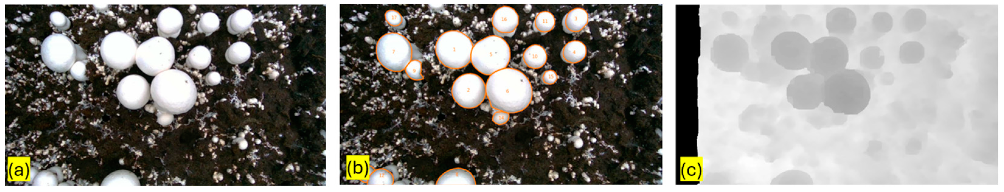 Applsci 14 09229 g008