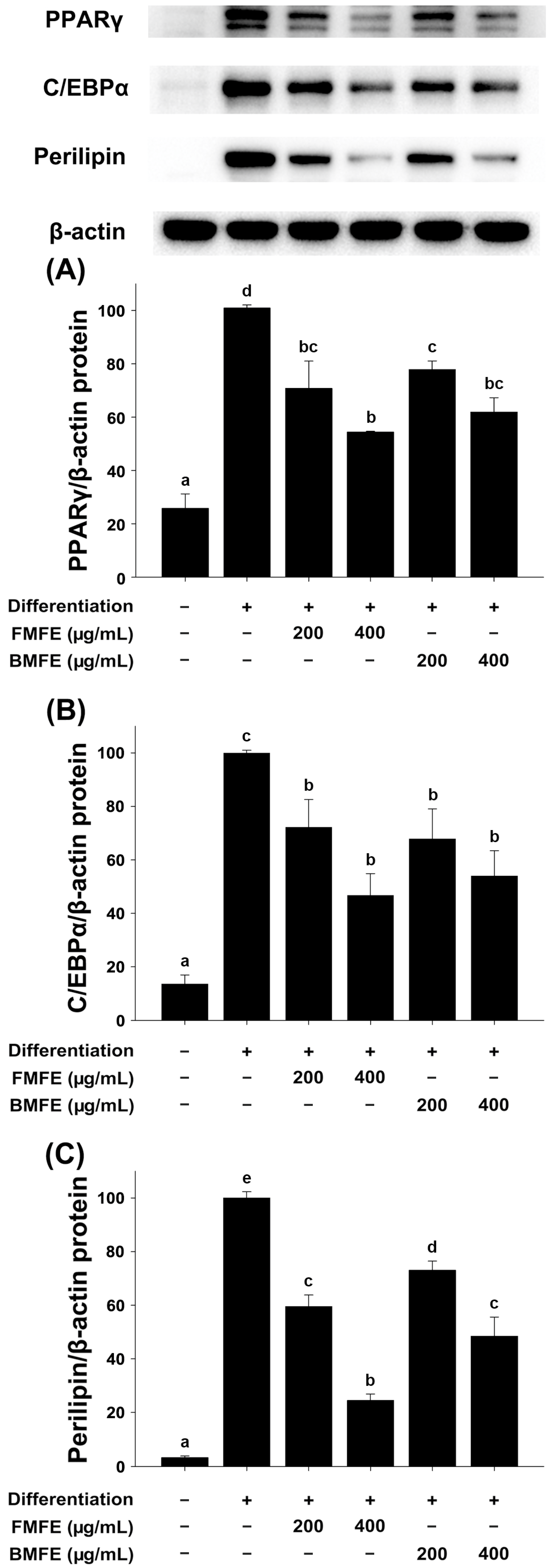 Applsci 14 09254 g004