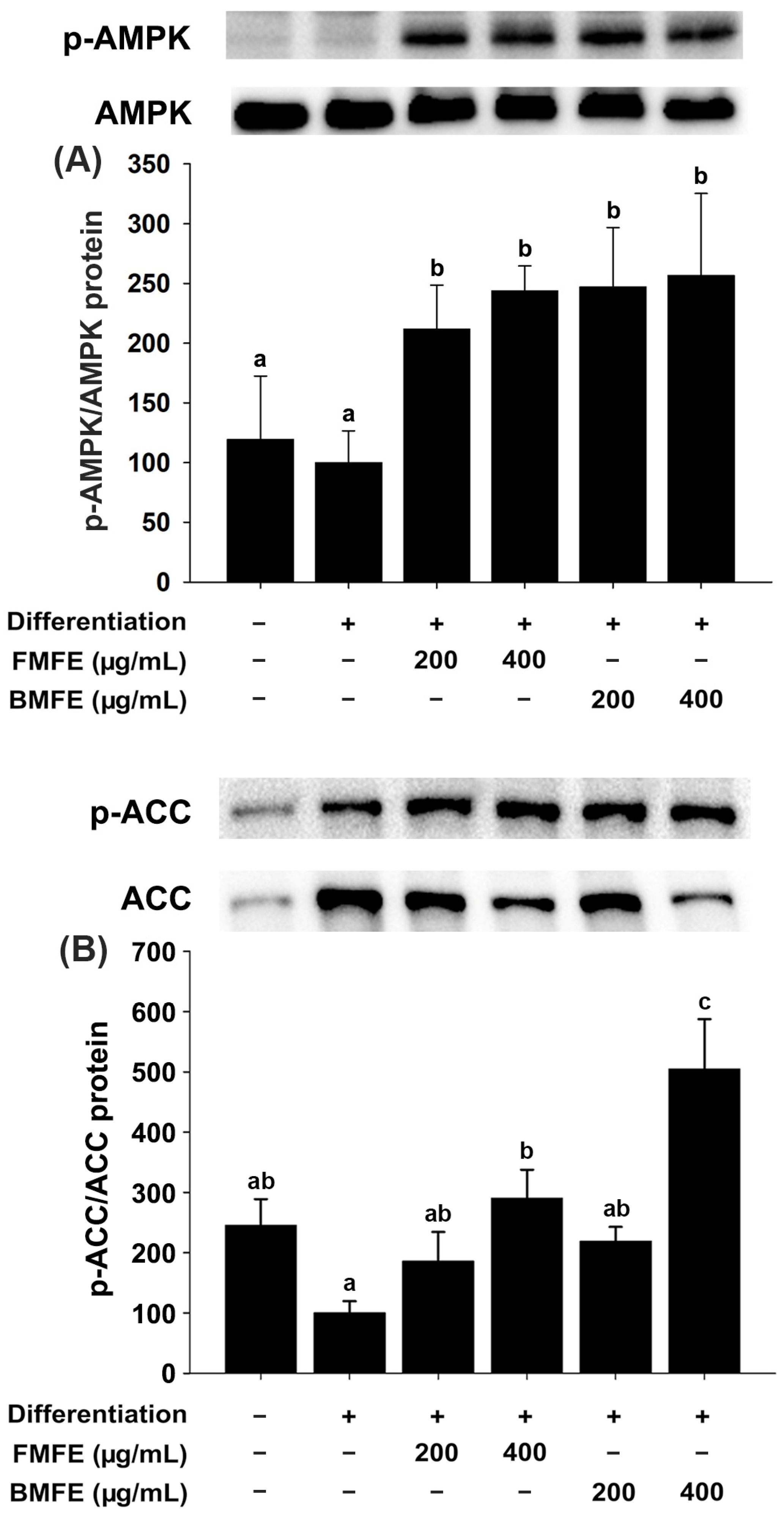 Applsci 14 09254 g005