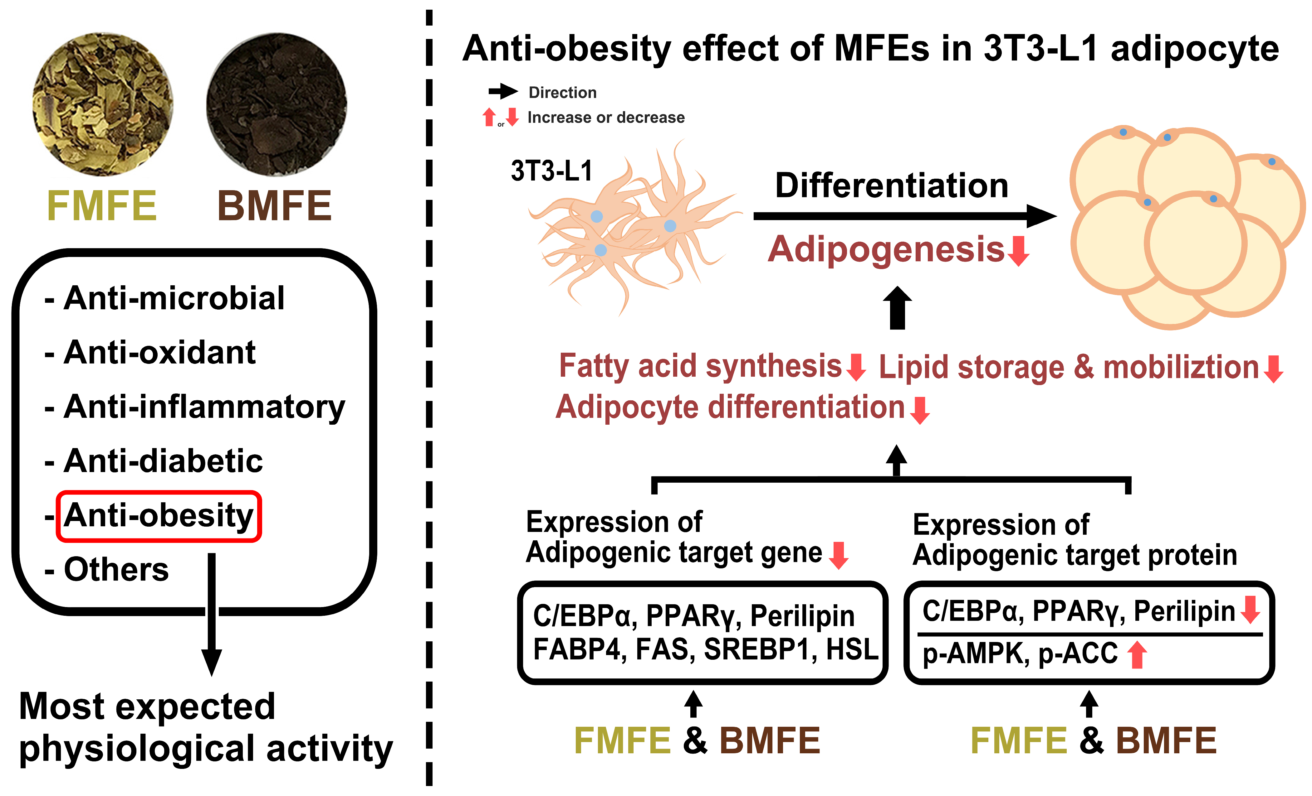 Applsci 14 09254 g006