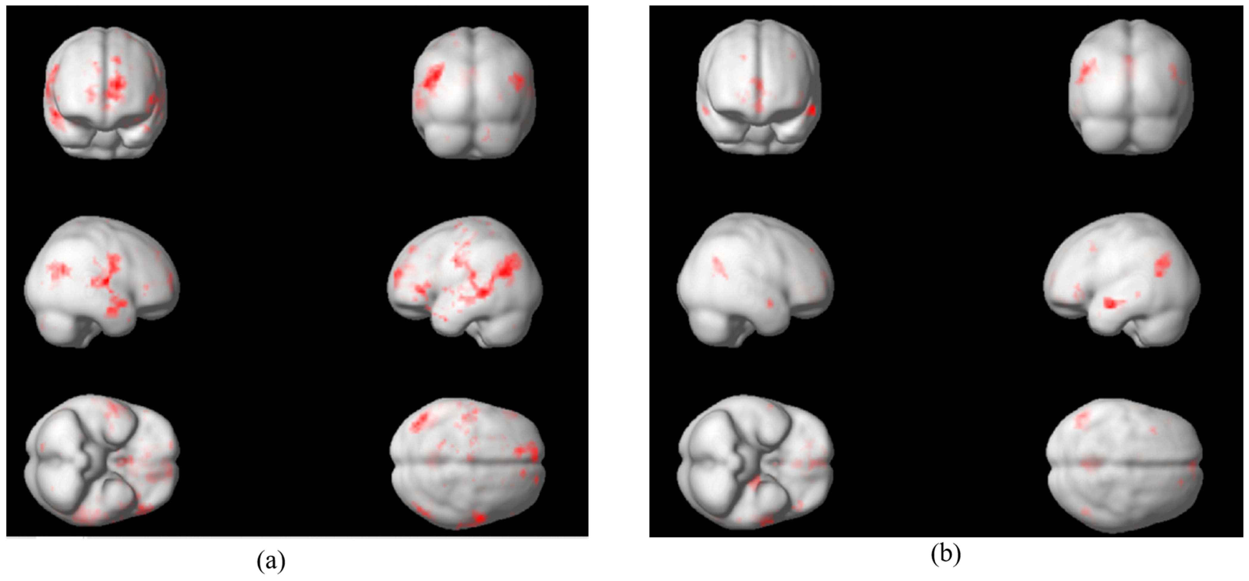 Applsci 14 09261 g001