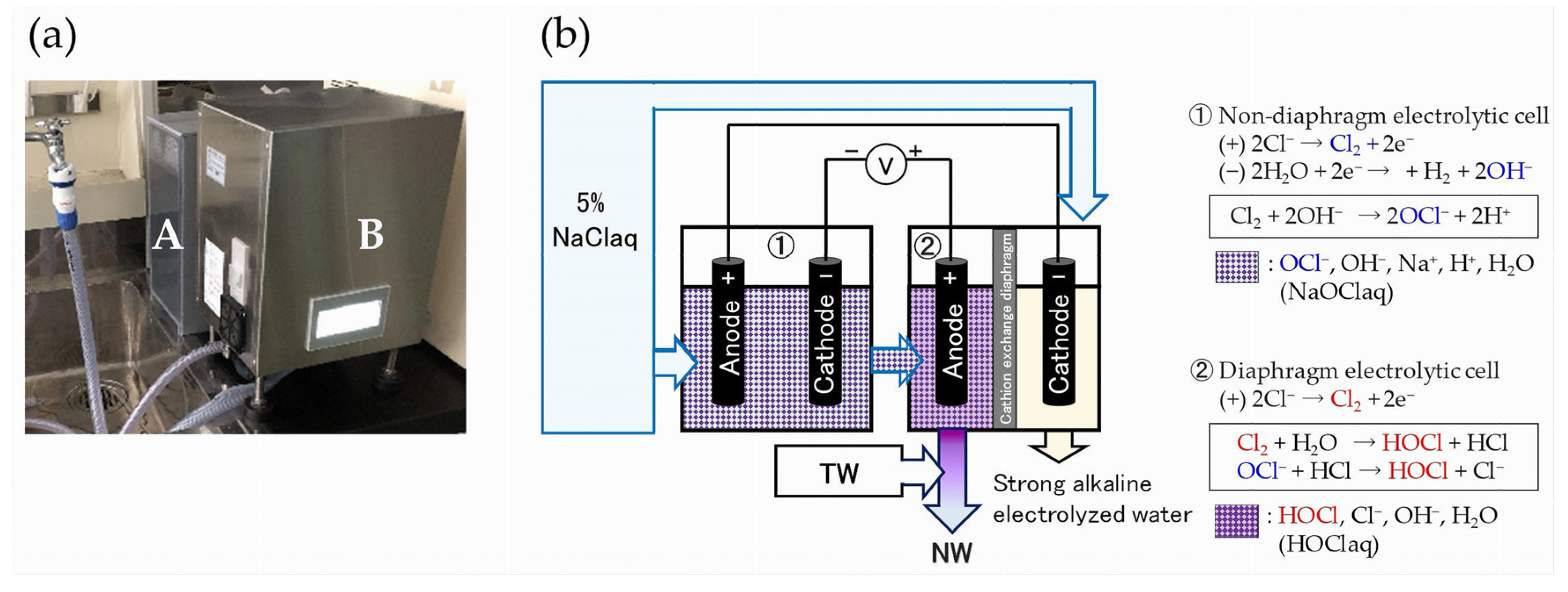 Applsci 14 09264 g001 Applsci 14 09264 g001