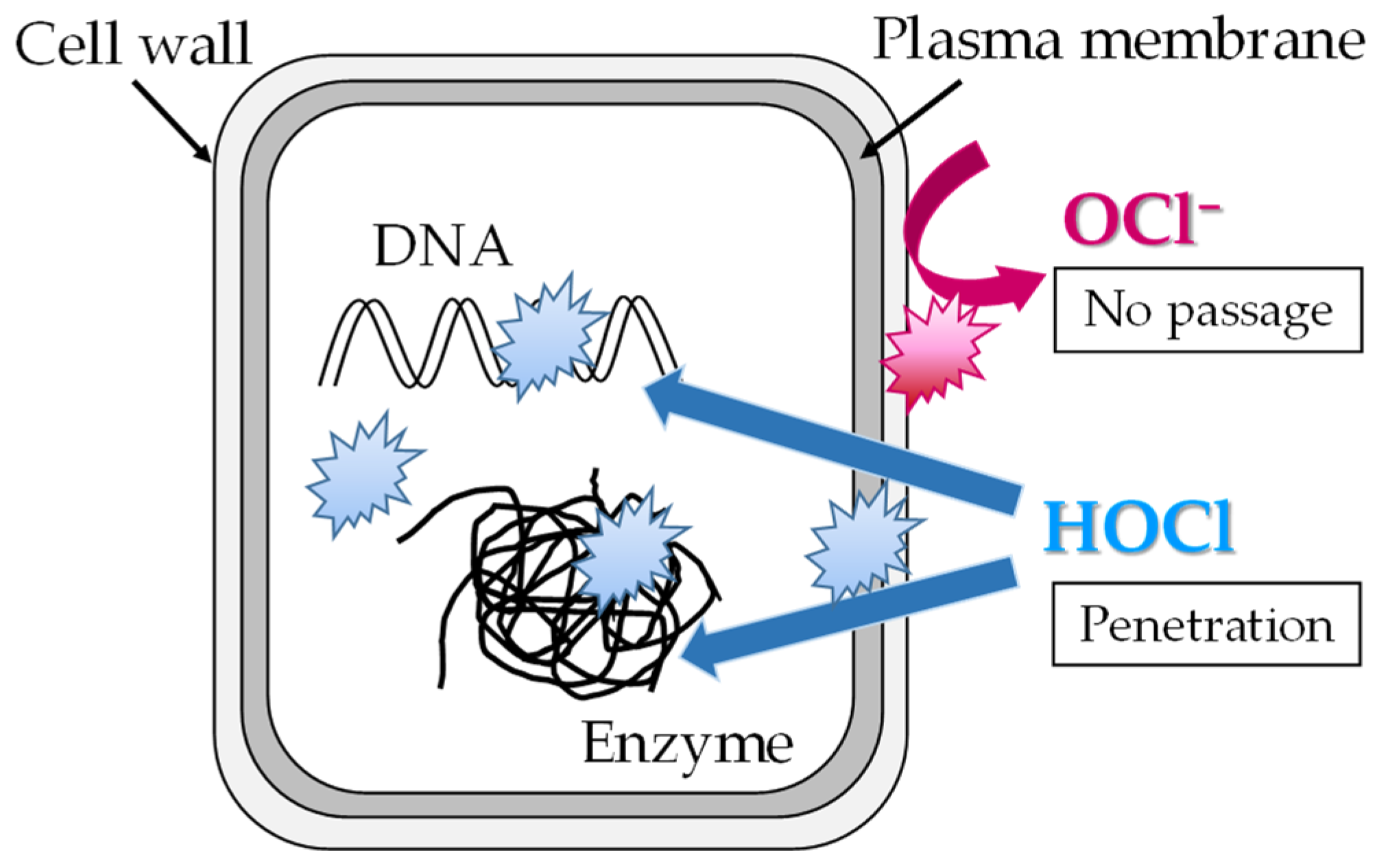 Applsci 14 09264 g0a2