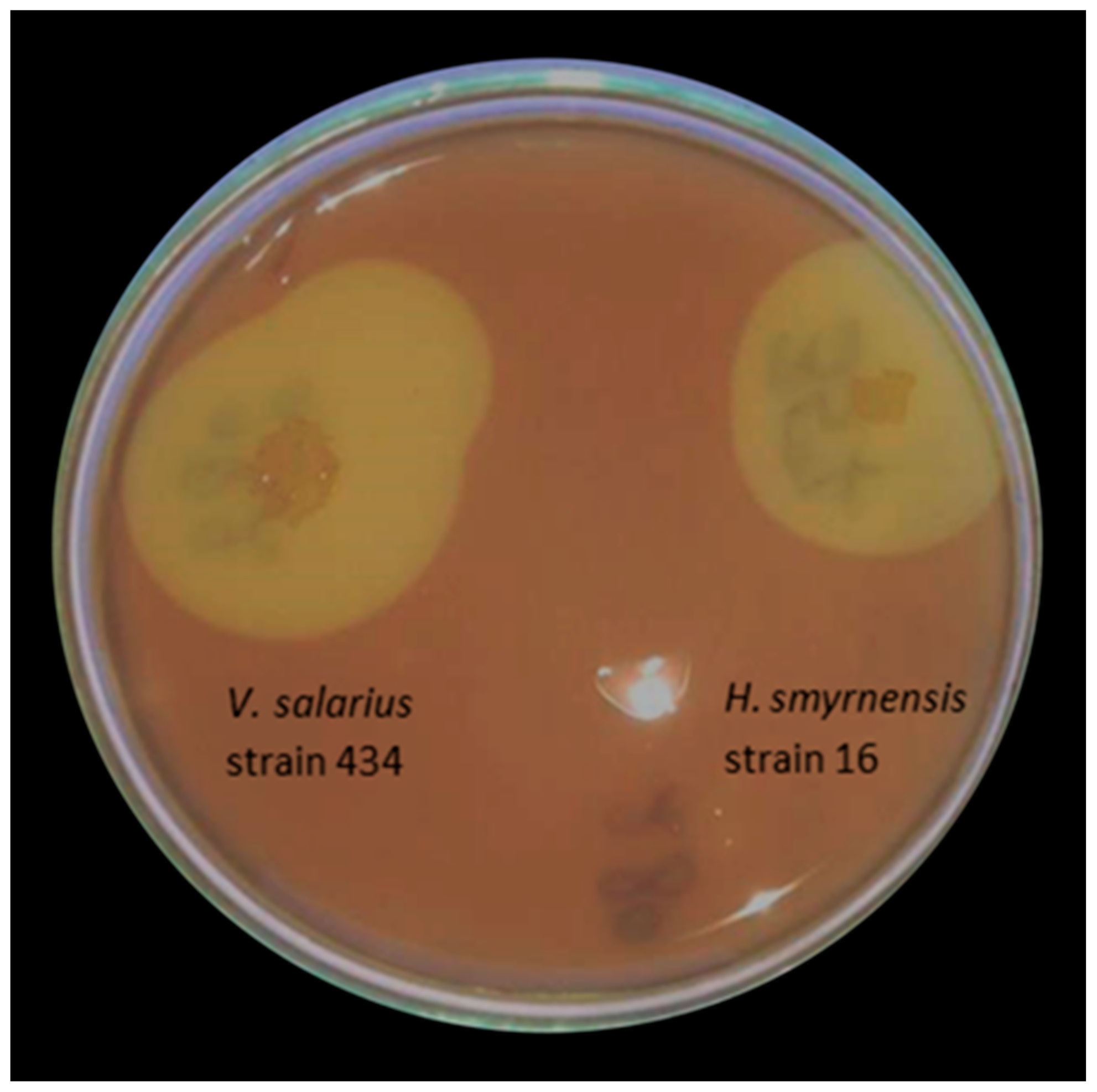 Applsci 14 09295 g001 Applsci 14 09295 g001