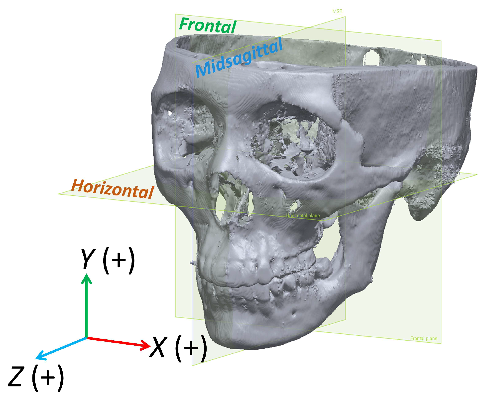 Applsci 14 09299 g001