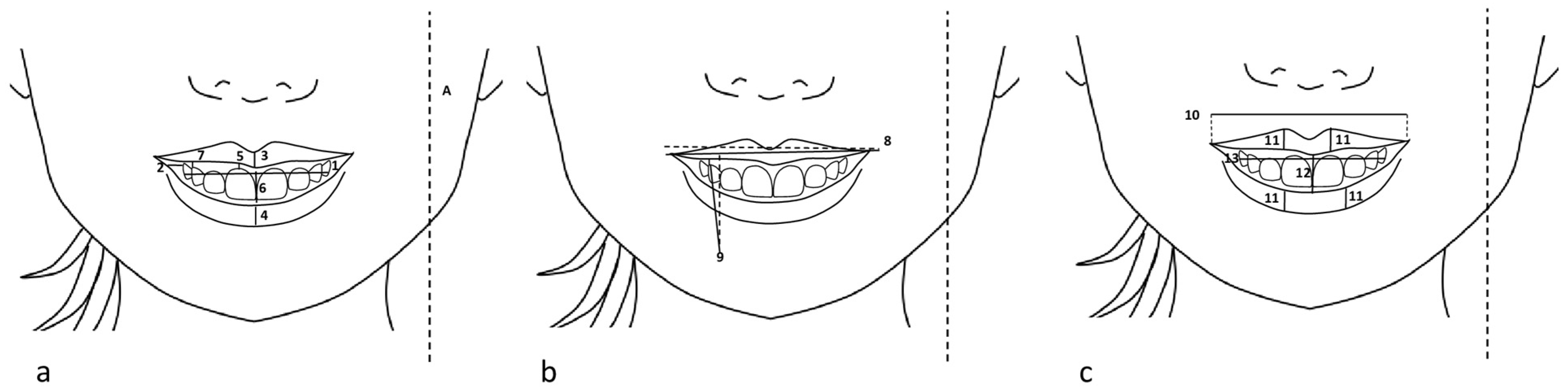 Applsci 14 09325 g002