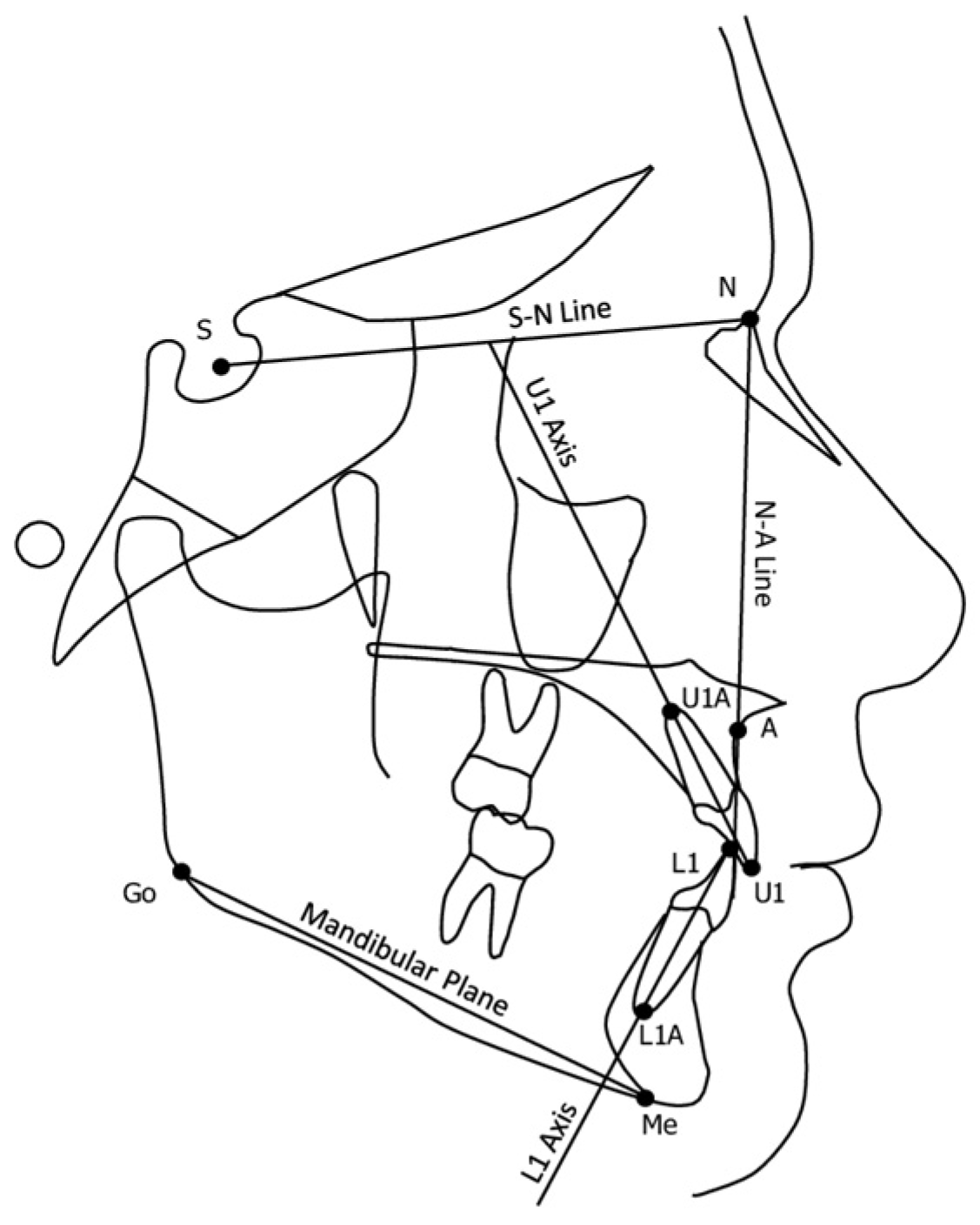 Applsci 14 09325 g003