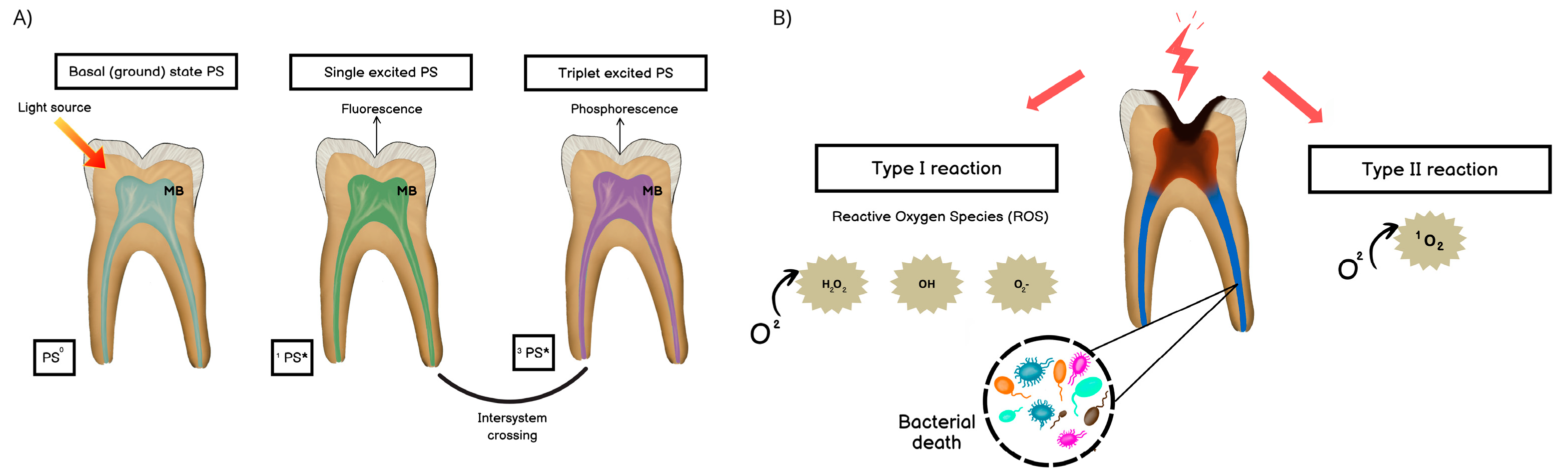 Applsci 14 09341 g001