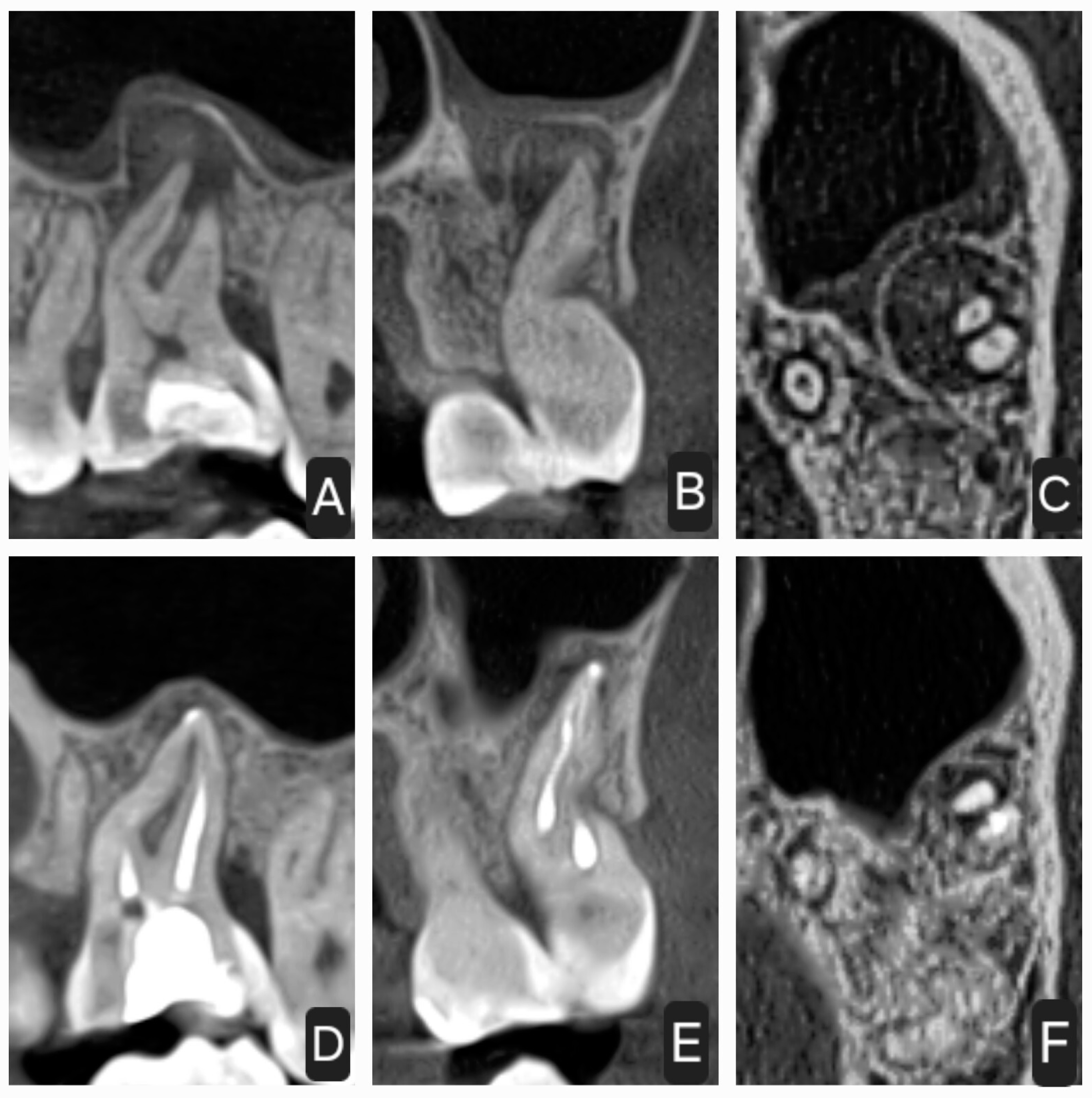 Applsci 14 09341 g008