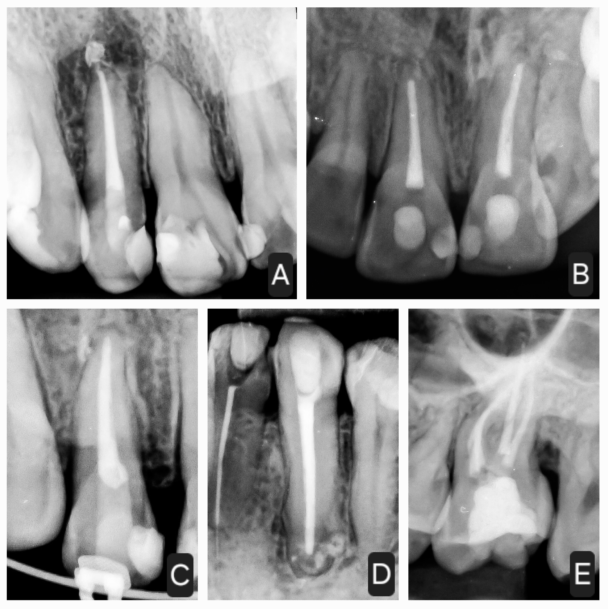 Applsci 14 09341 g009