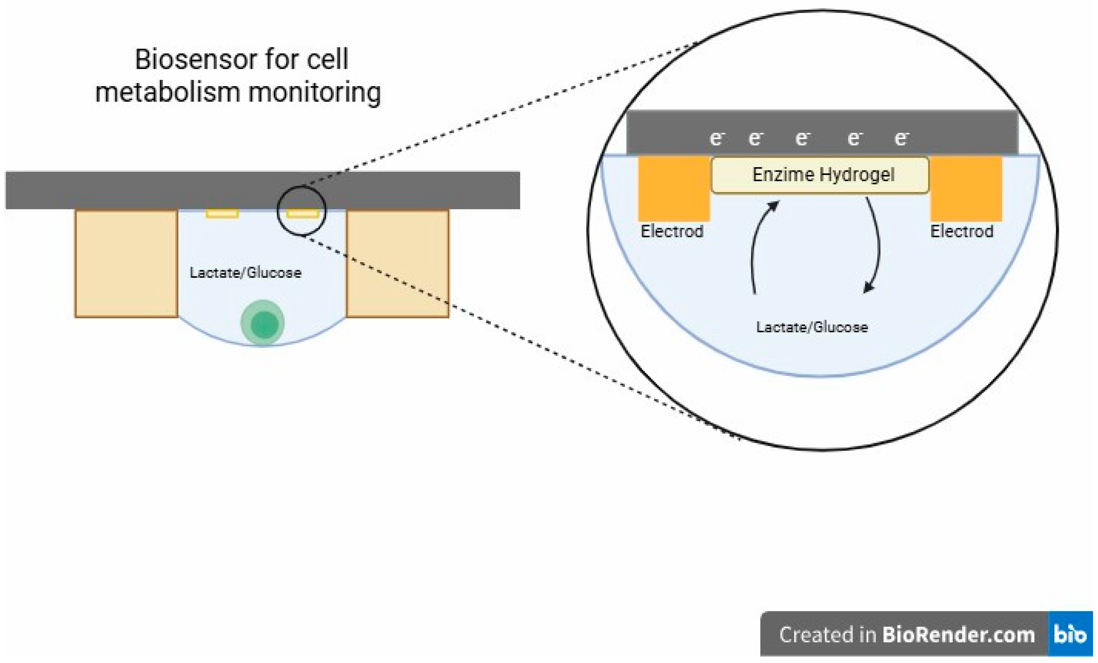 Applsci 14 09346 g005