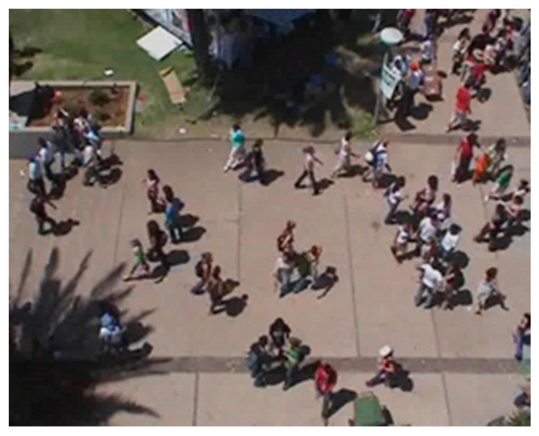 Applsci 14 09349 g005