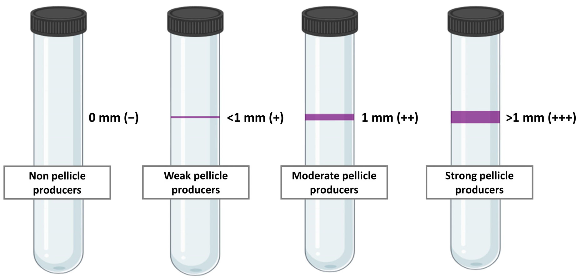 Applsci 14 09365 g002