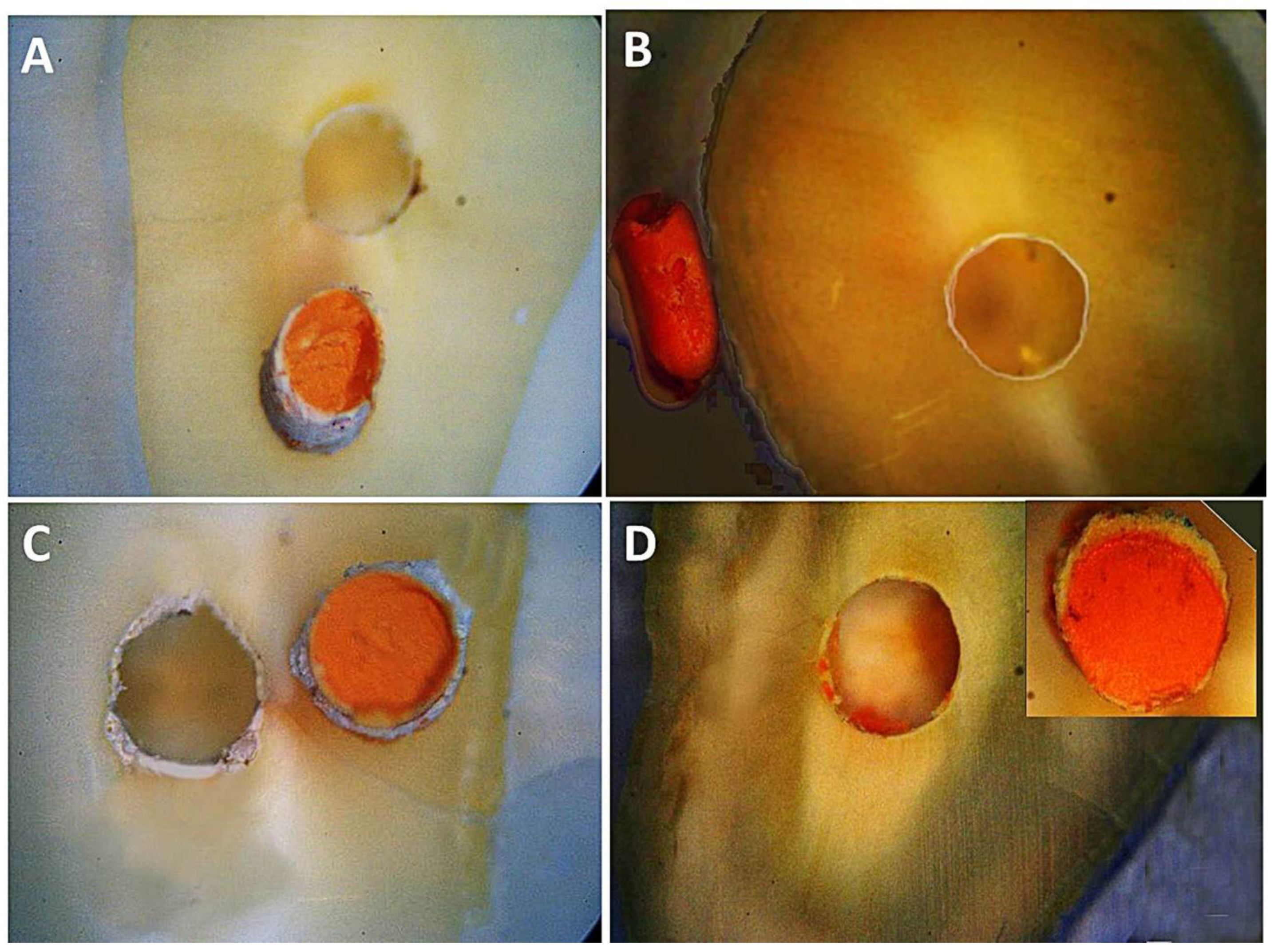 Applsci 14 09366 g001