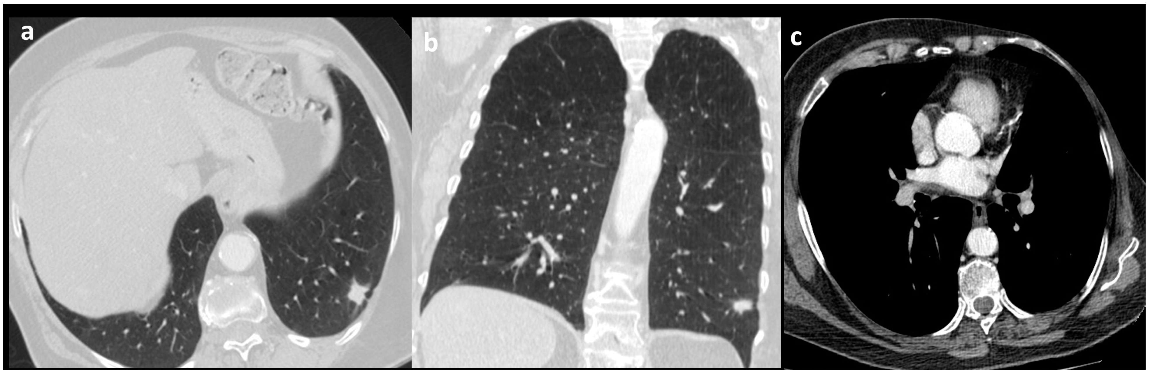 Applsci 14 09367 g0a1