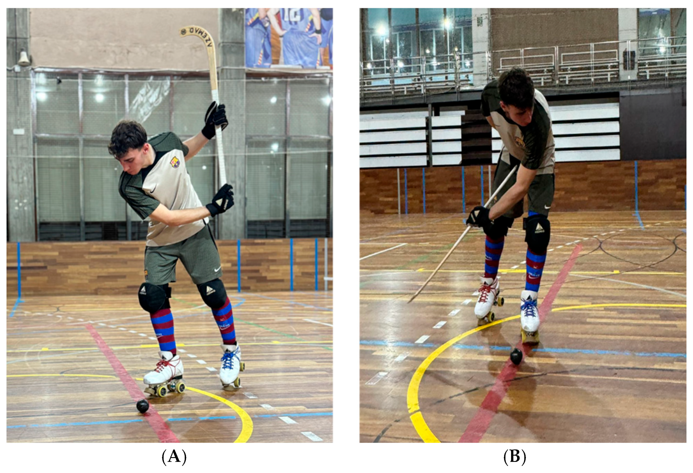 Applsci 14 09368 g001