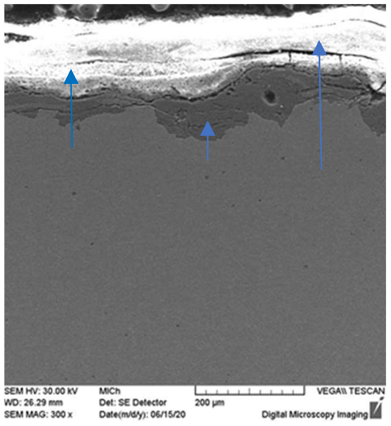 Applsci 14 09378 g008