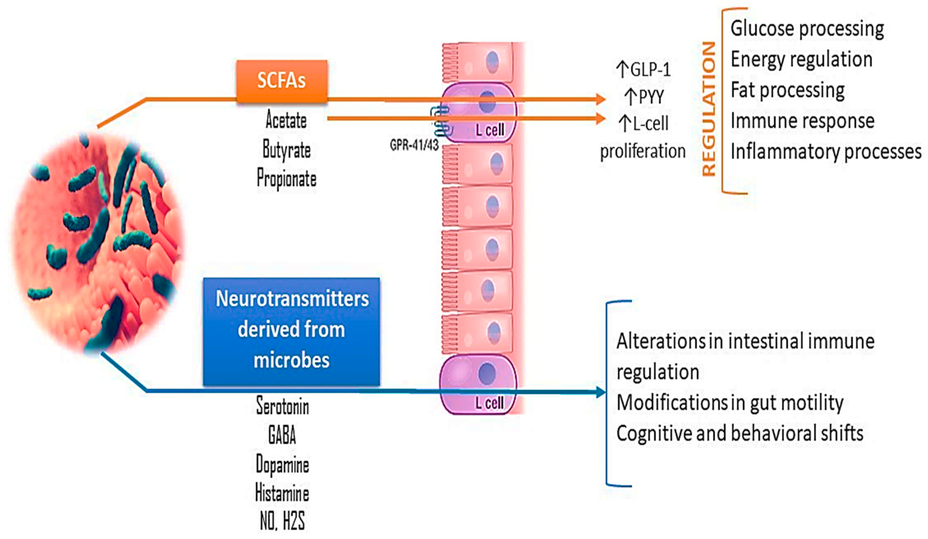 Applsci 14 09383 g001