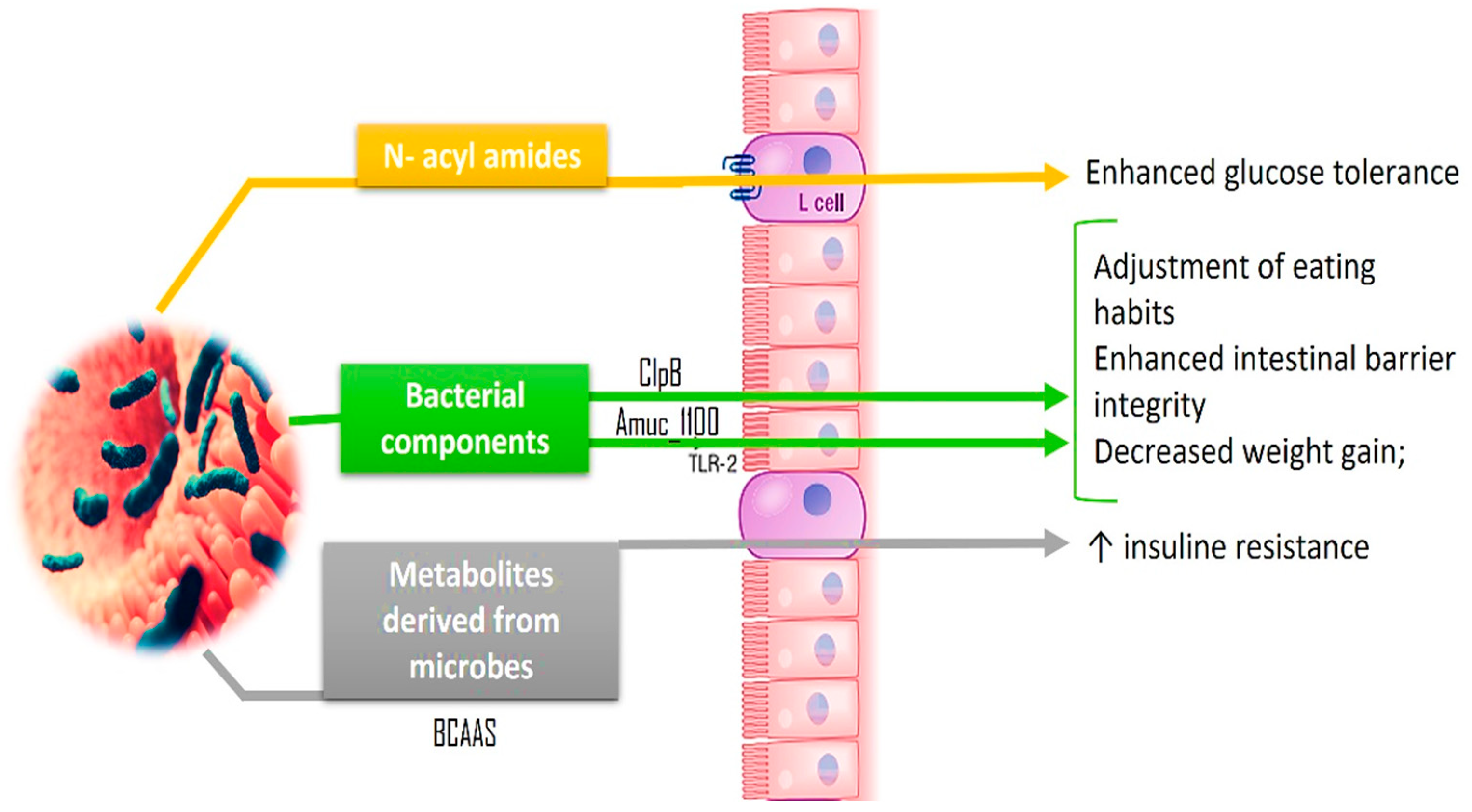 Applsci 14 09383 g002