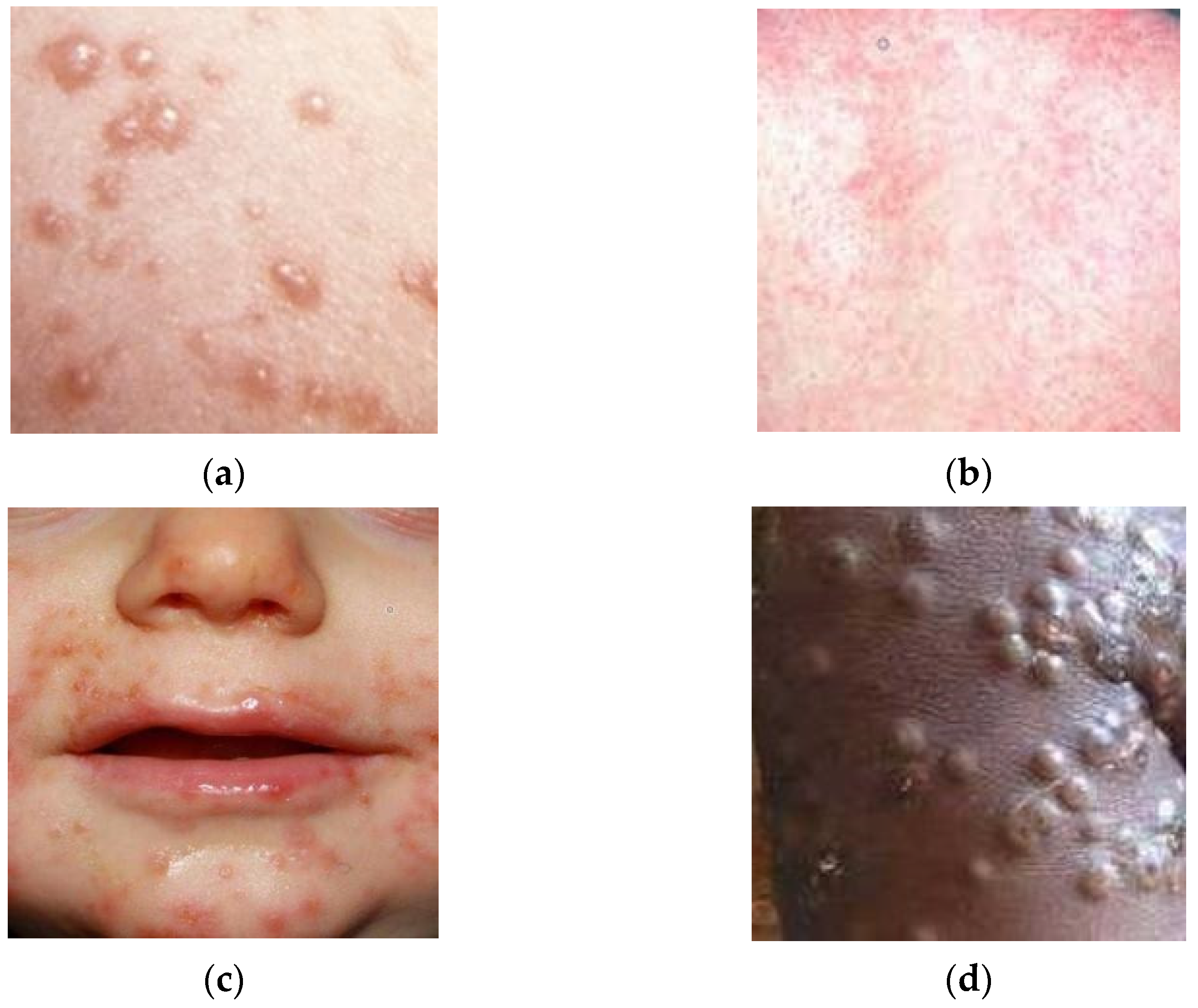 Applsci 14 09390 g001