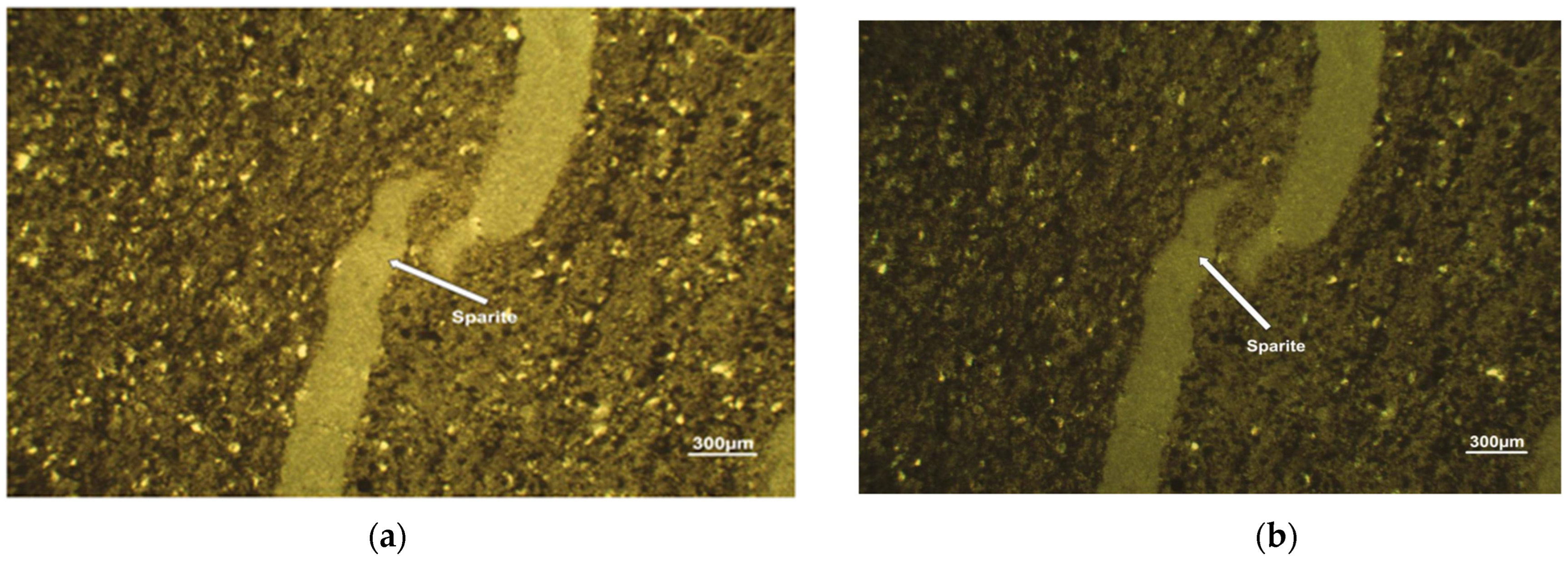 Applsci 14 09395 g019a Applsci 14 09395 g019a