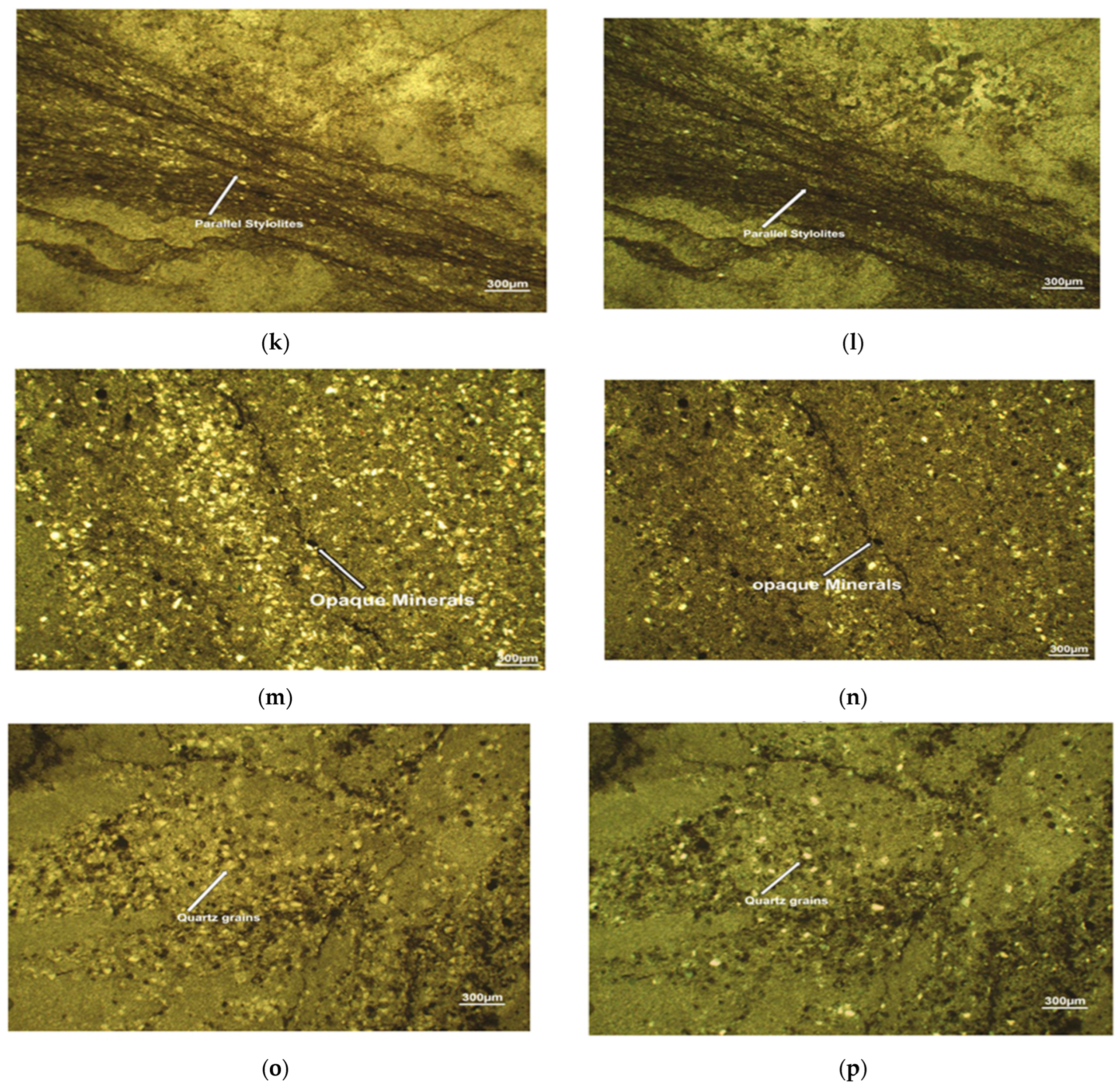 Applsci 14 09395 g019c Applsci 14 09395 g019c