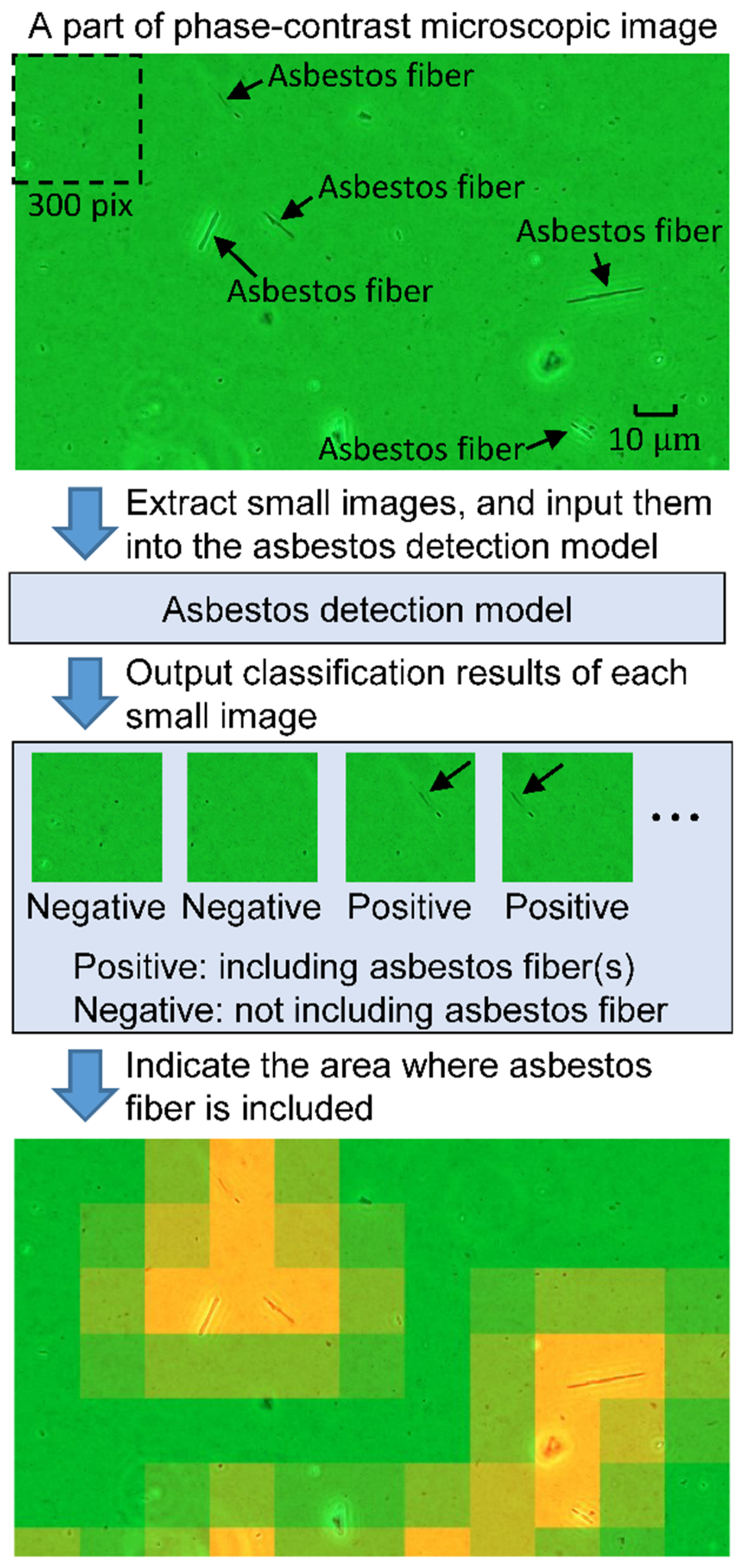 Developing an Automatic Asbestos Detection Method Based on a Developing an Automatic Asbestos Detection Method Based on a