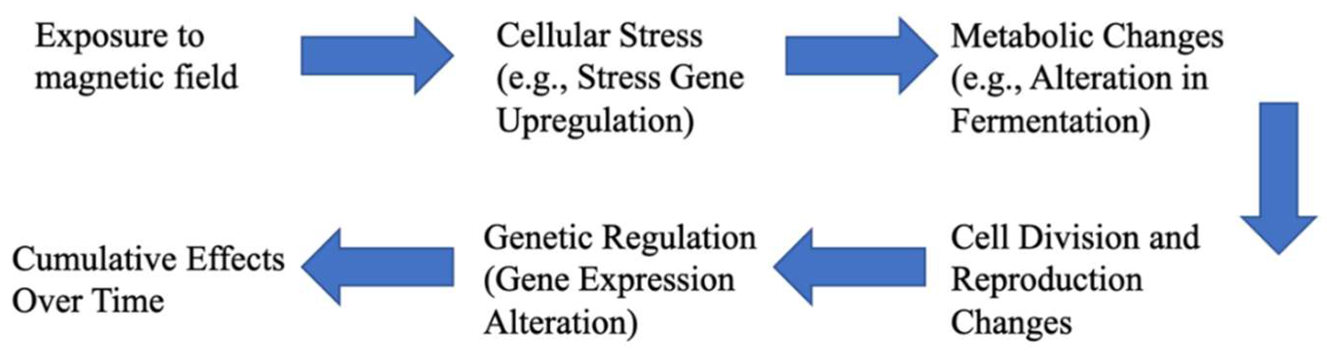 Applsci 14 09409 g010 Applsci 14 09409 g010