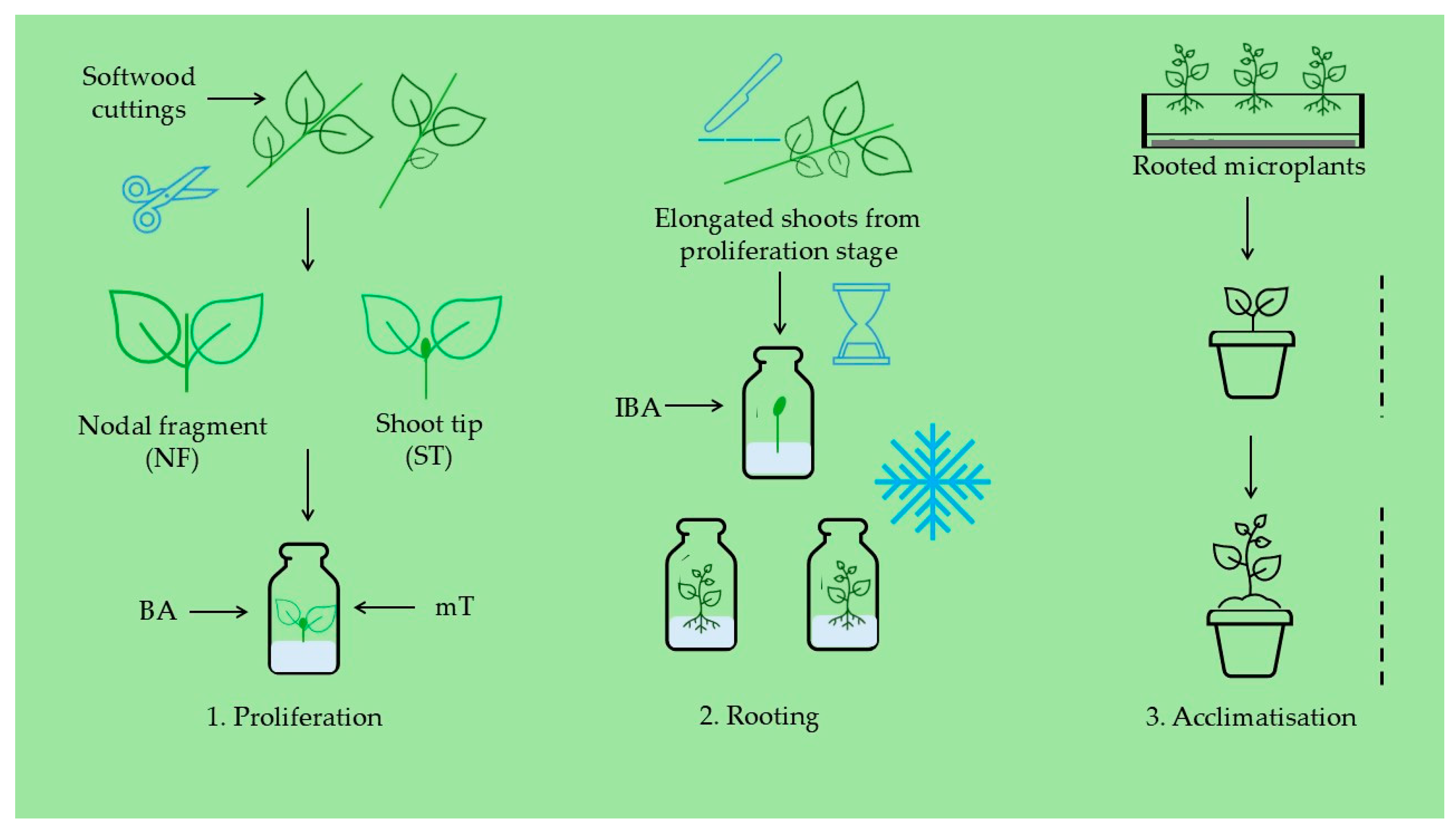 Applsci 14 09452 g001 Applsci 14 09452 g001