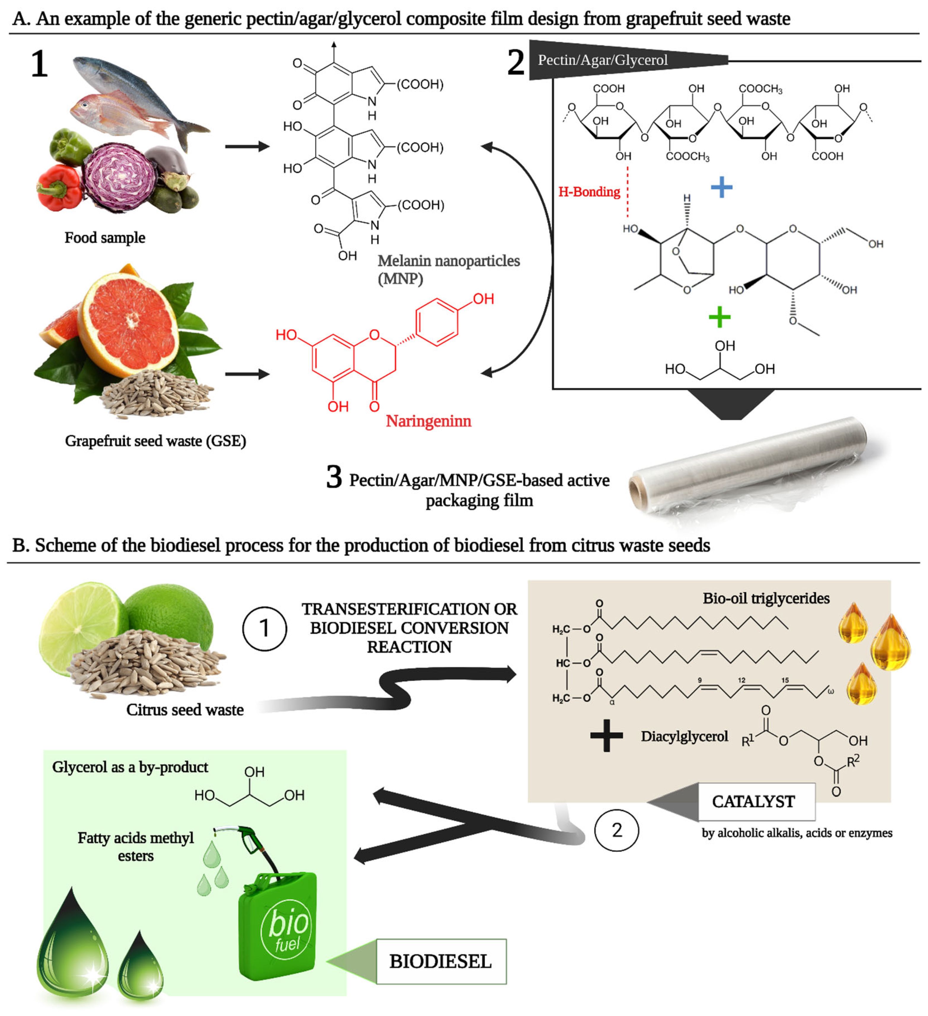 Applsci 14 09463 g001