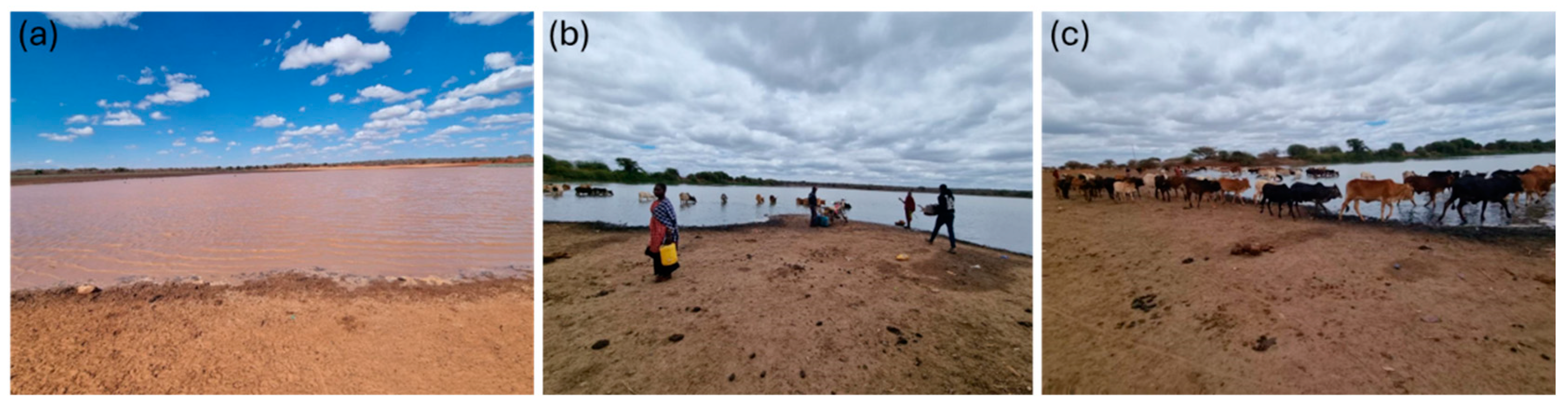 Applsci 14 09467 g002