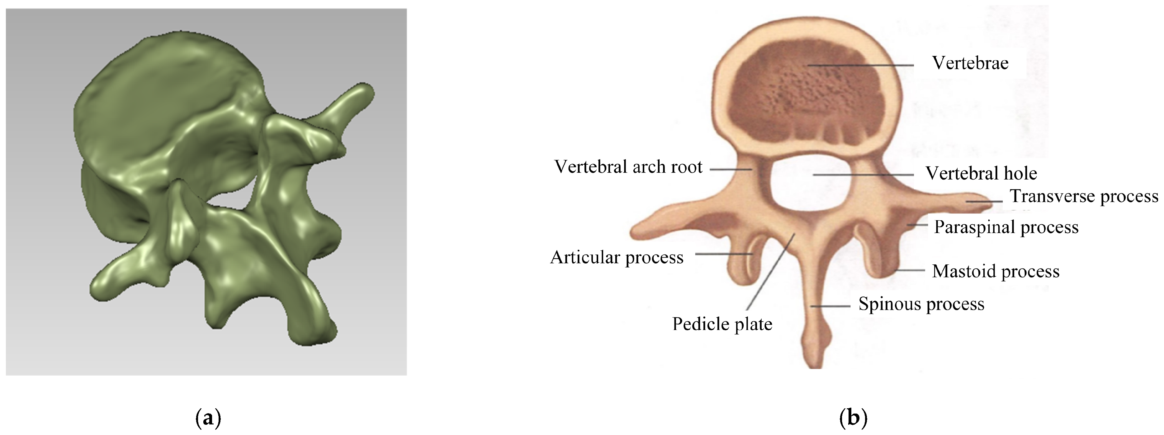 Applsci 14 09479 g018