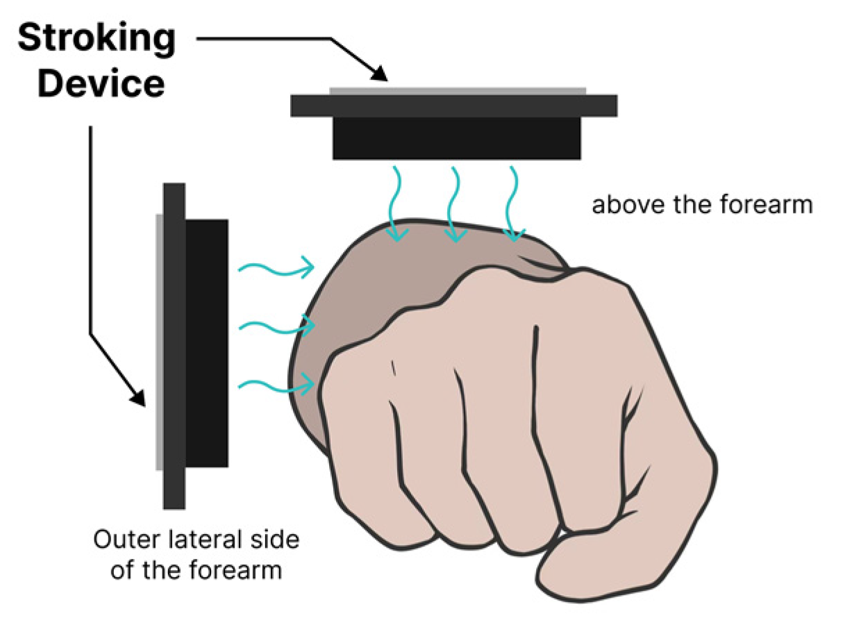 Applsci 14 09494 g003