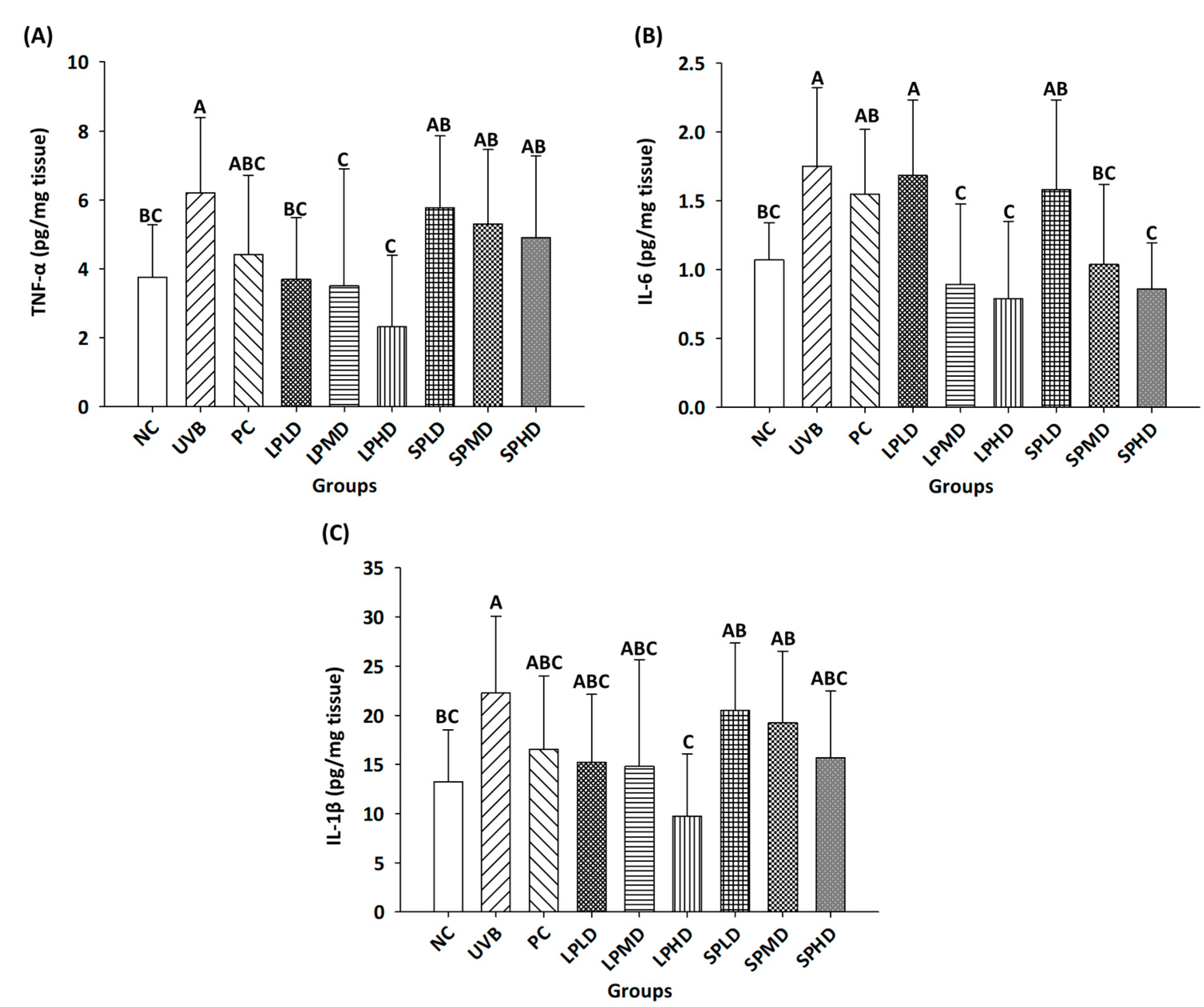 Applsci 14 09497 g004