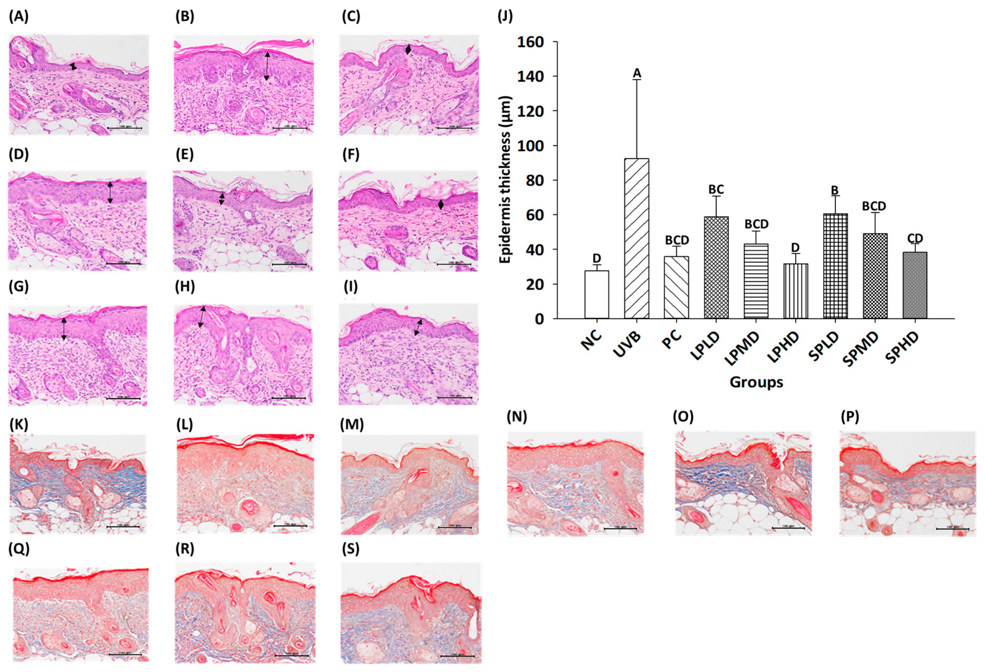 Applsci 14 09497 g006