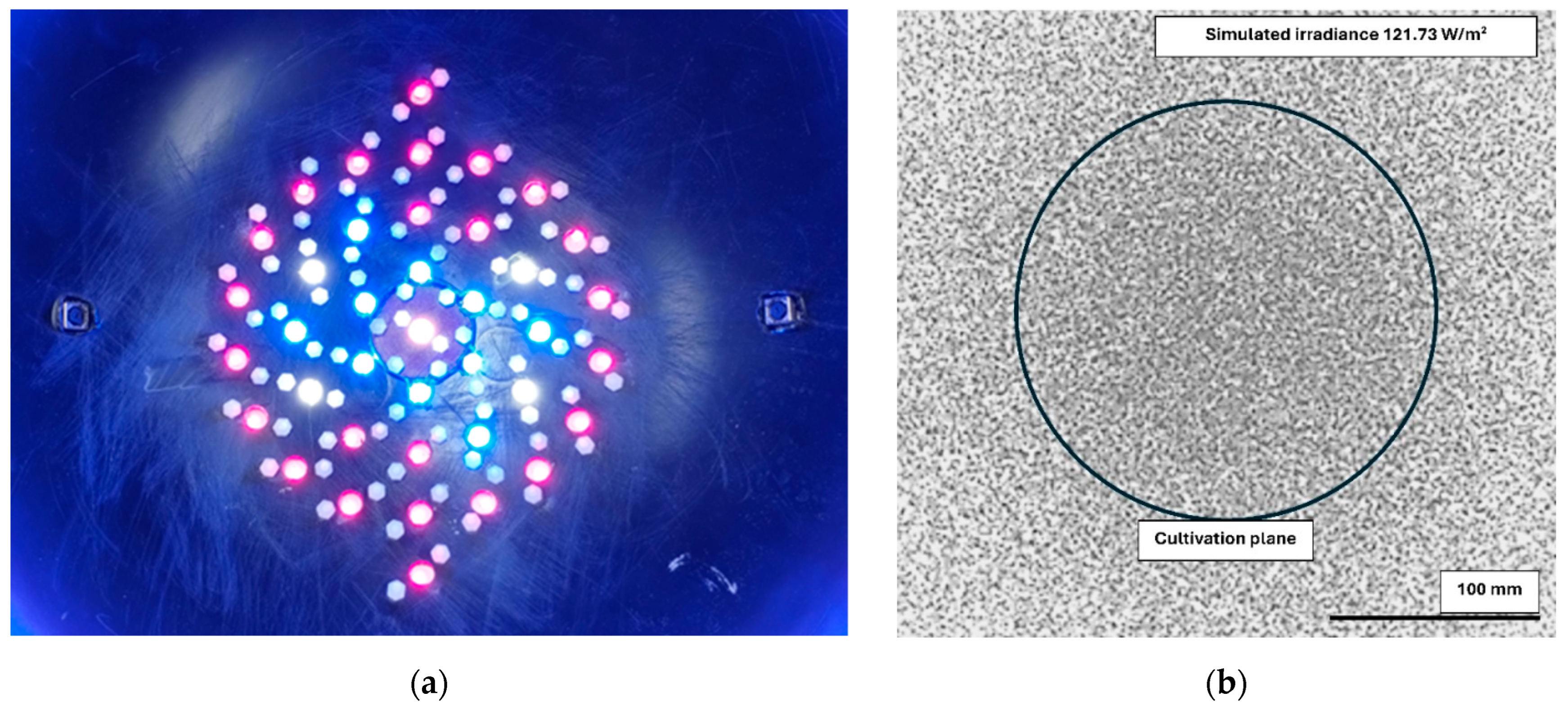 Applsci 14 09517 g005 Applsci 14 09517 g005