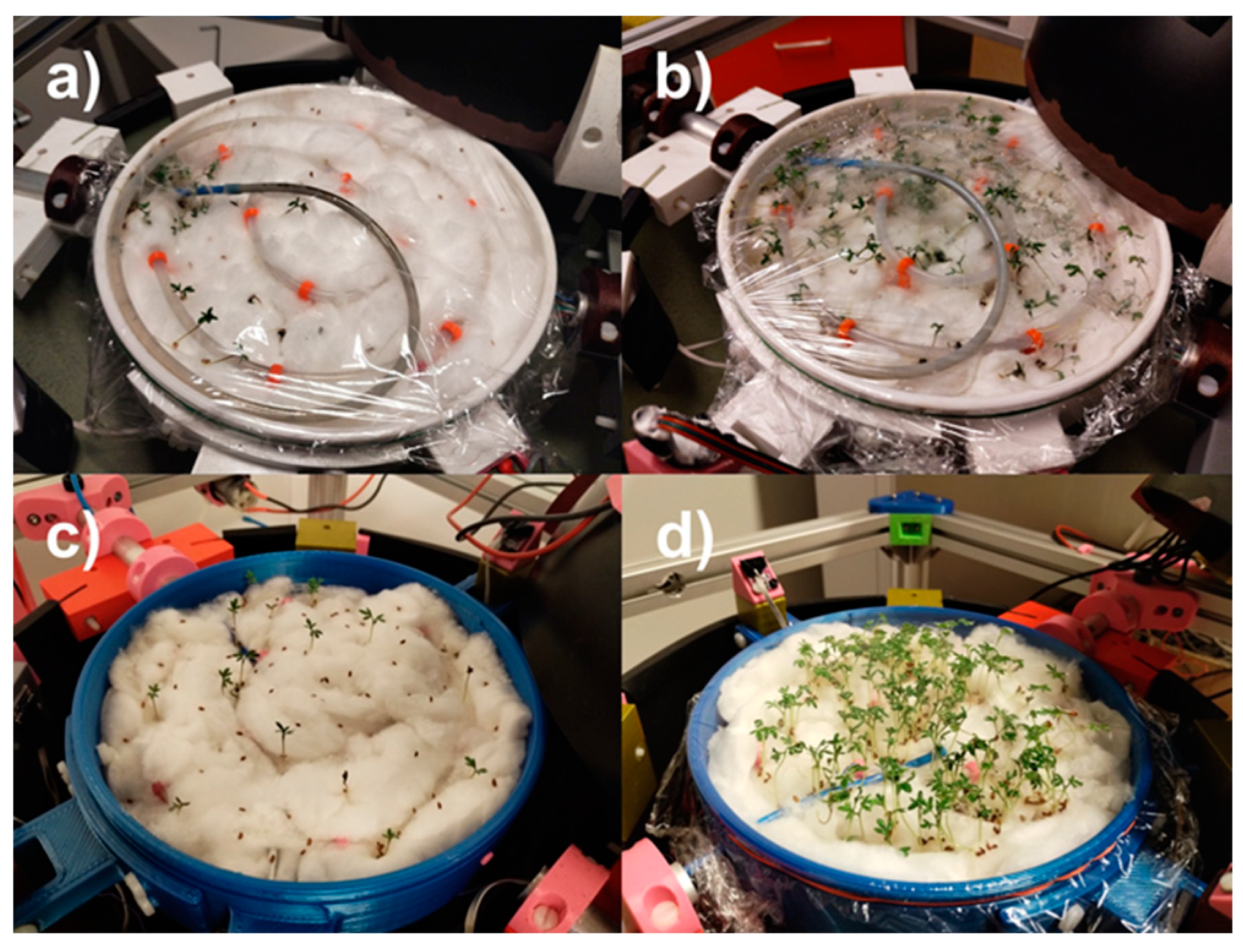 Applsci 14 09517 g014 Applsci 14 09517 g014