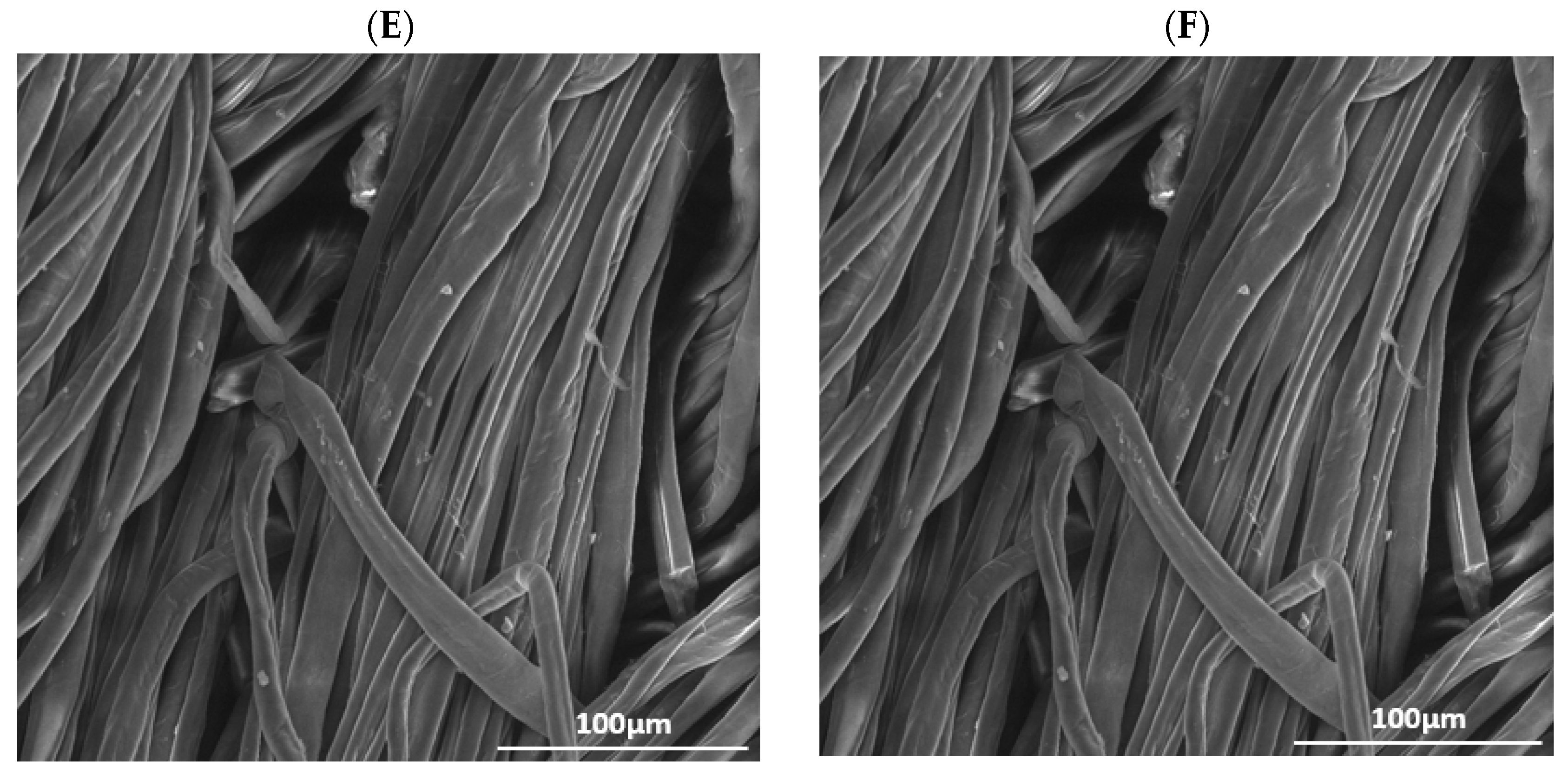 Applsci 14 09518 g001b