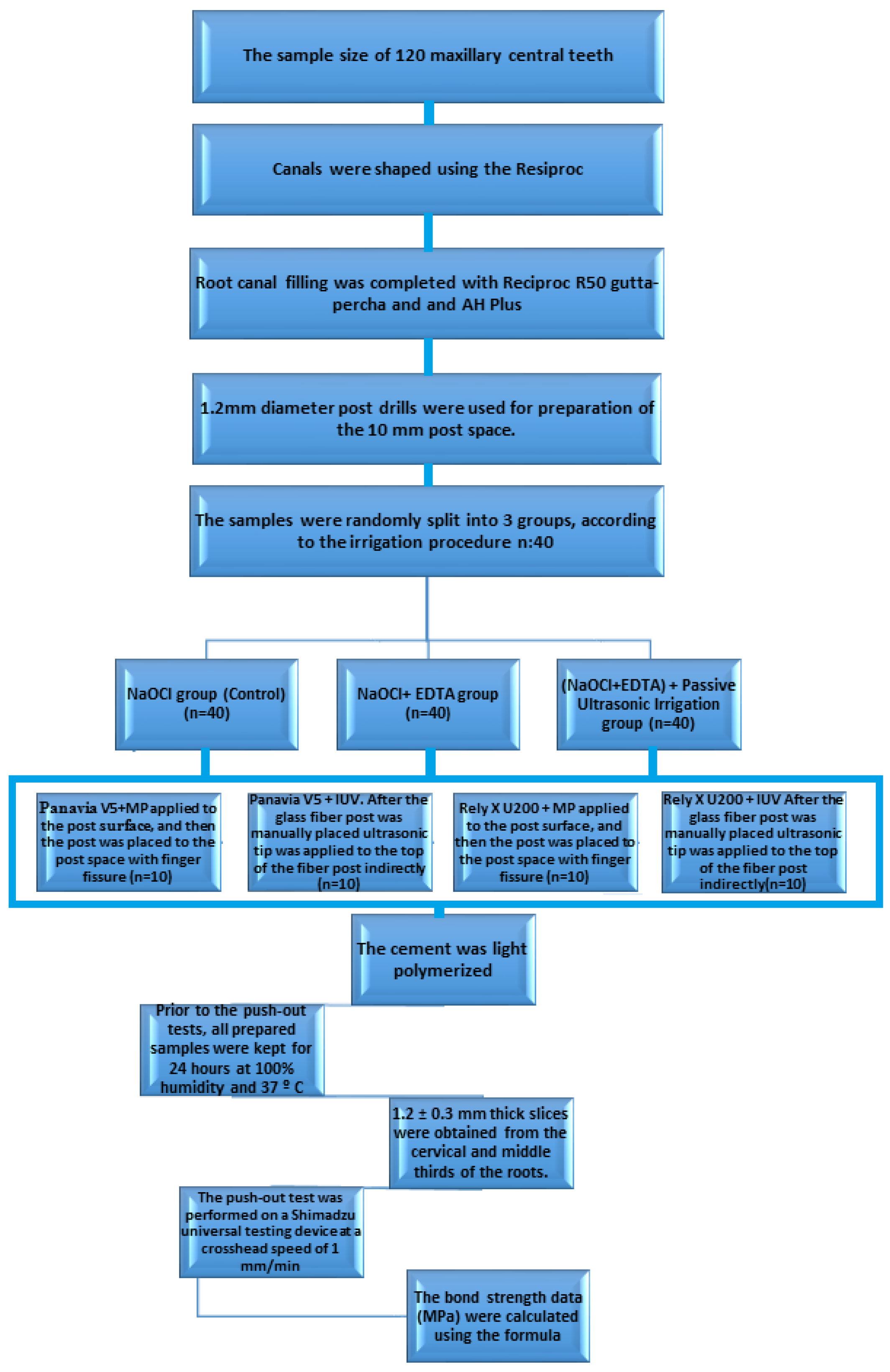 Applsci 14 09523 g001 Applsci 14 09523 g001