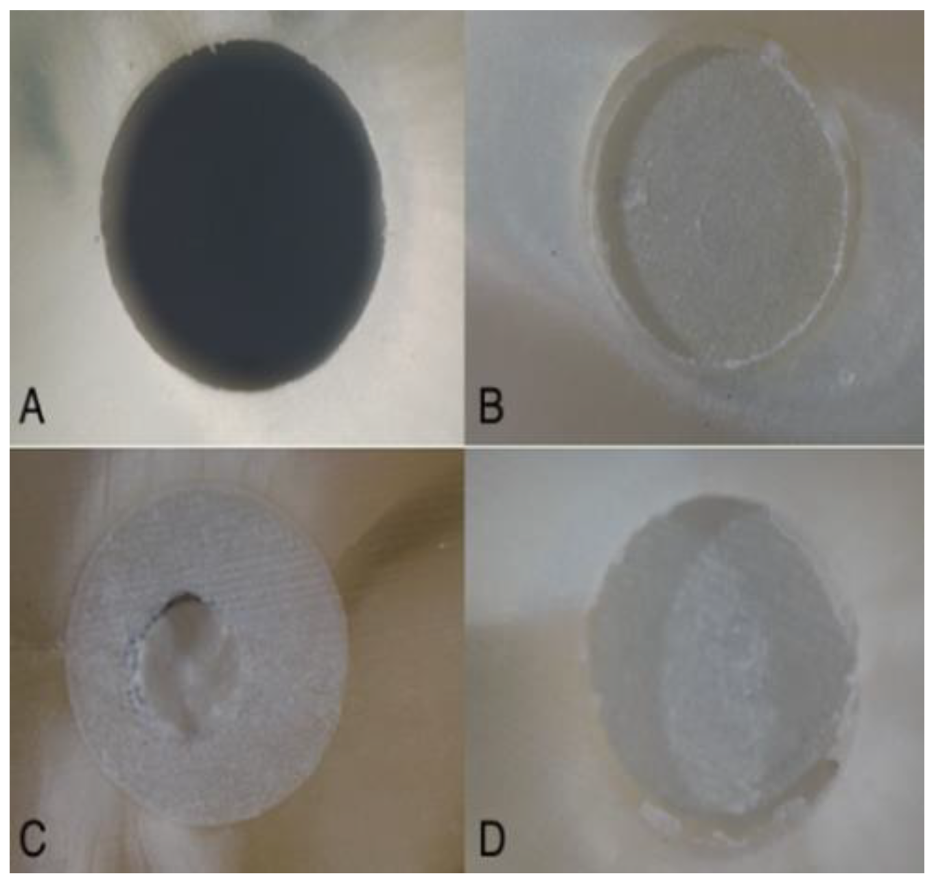 Applsci 14 09523 g004 Applsci 14 09523 g004