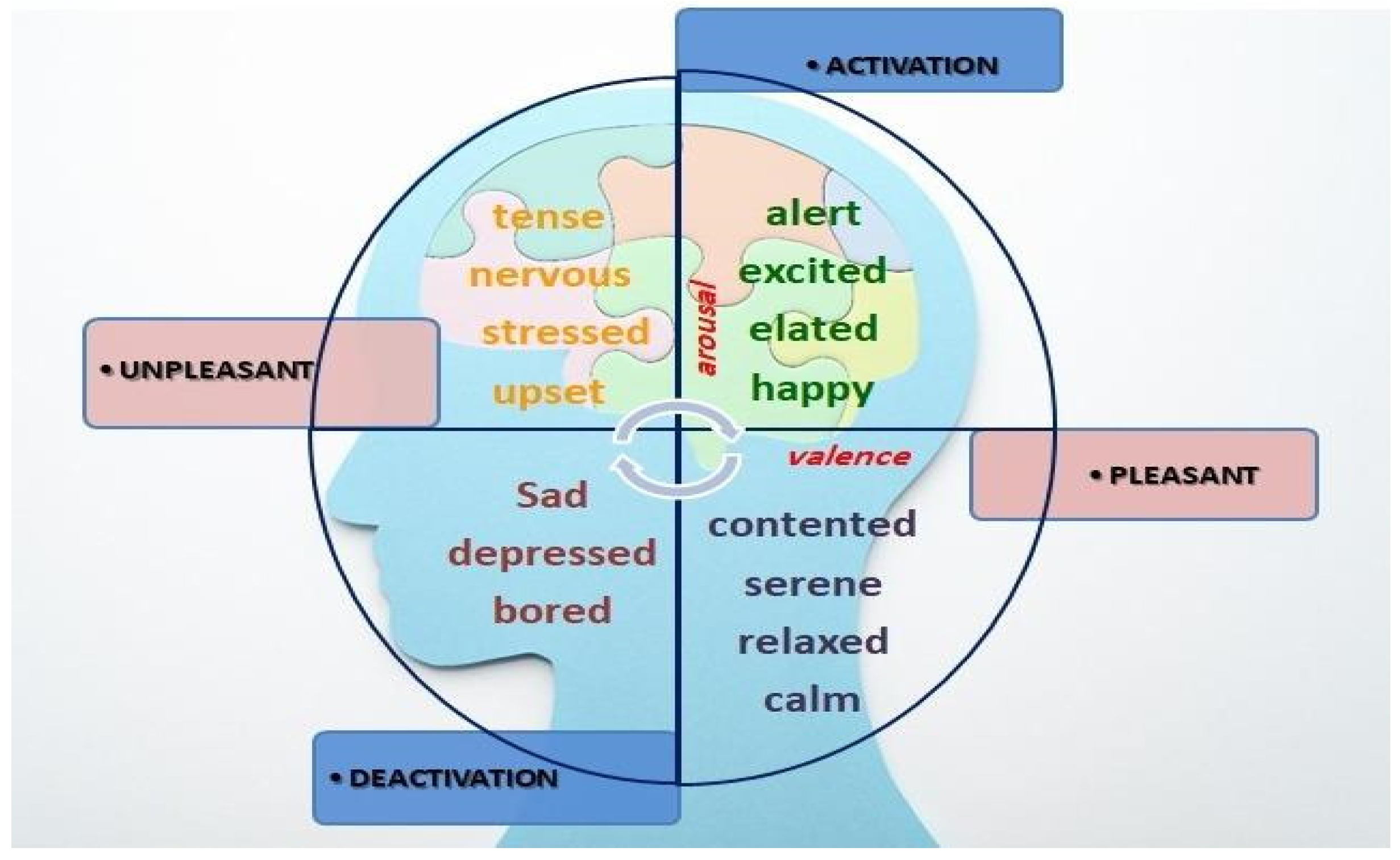 Applsci 14 09527 g001