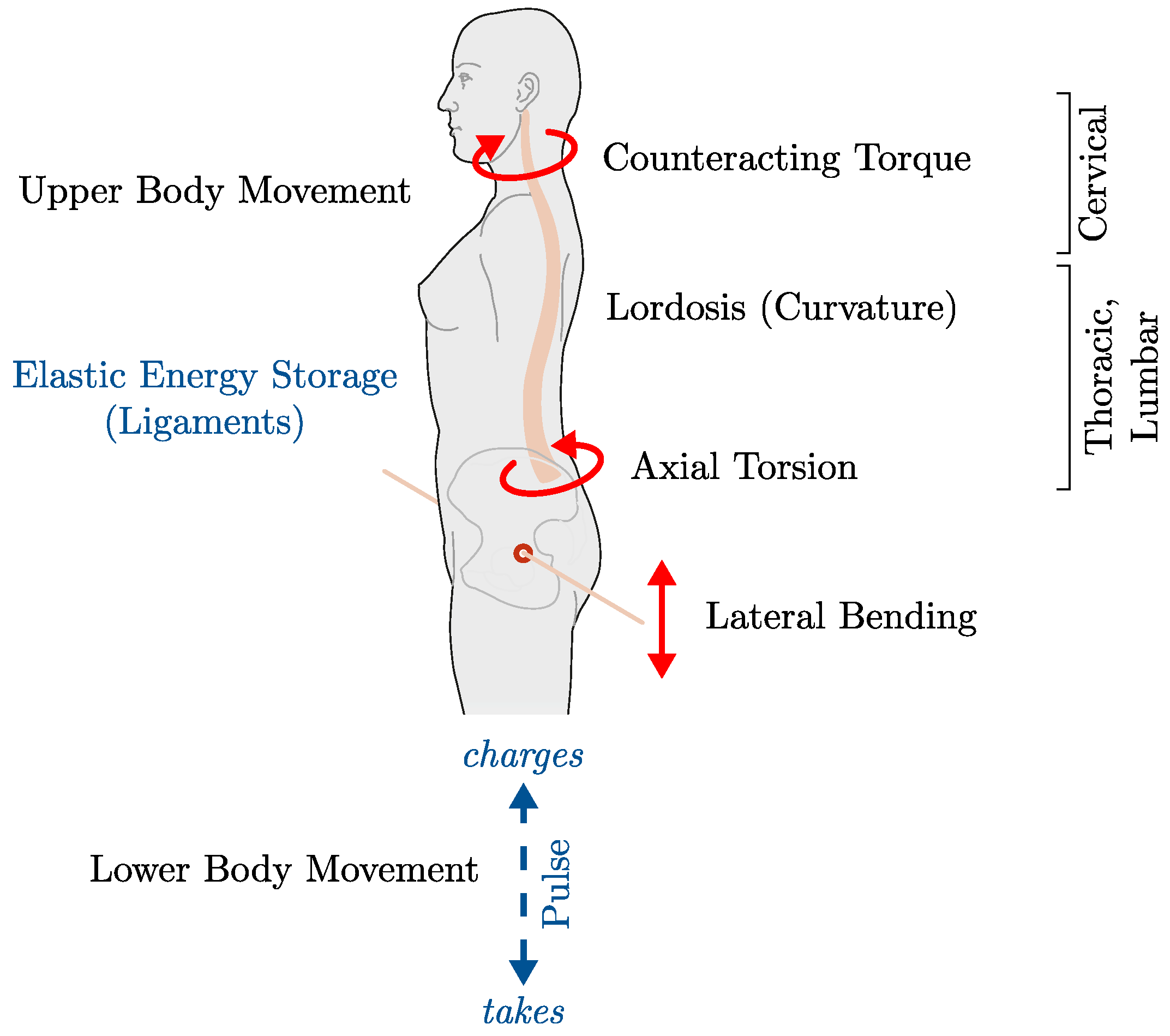 Applsci 14 09532 g002