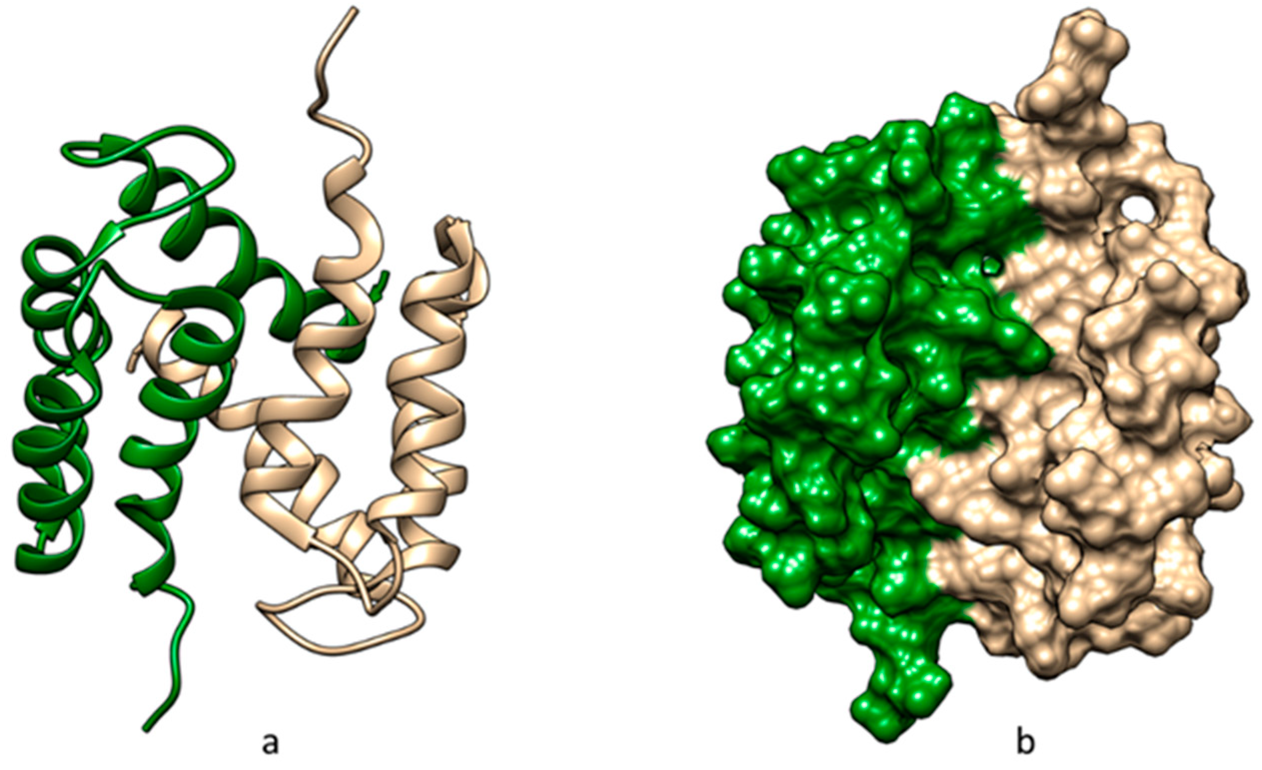Applsci 14 09540 g001