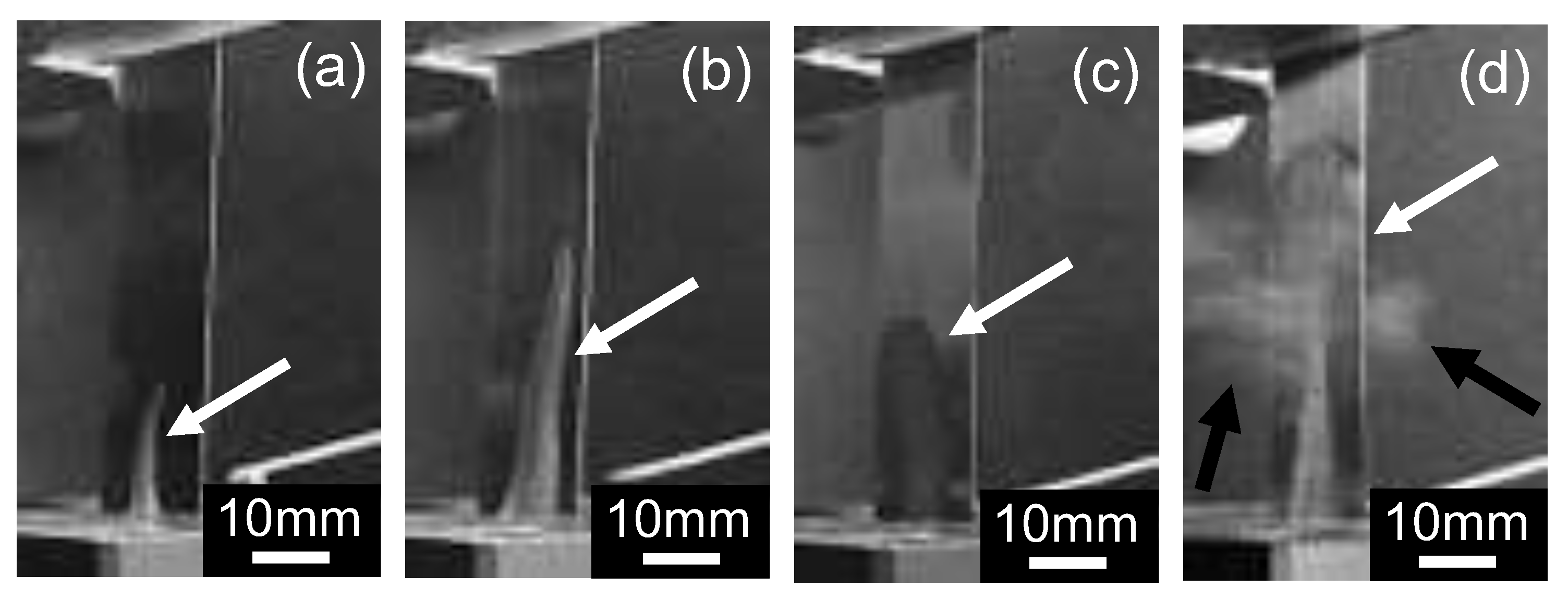 Applsci 14 09542 g002