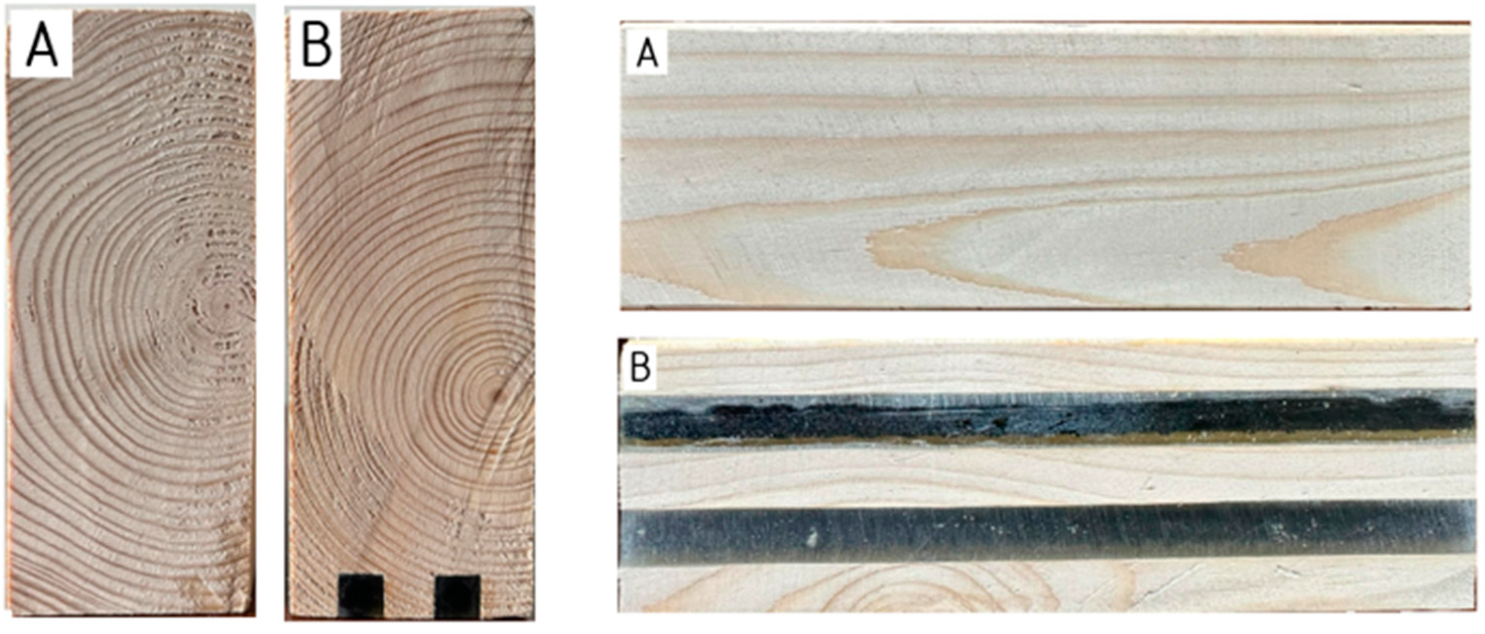 Applsci 14 09558 g005