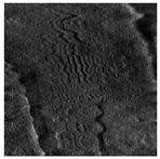 Applsci 14 09574 i014