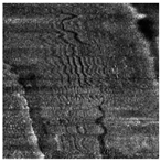 Applsci 14 09574 i015