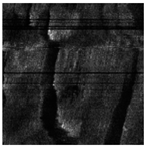 Applsci 14 09574 i016